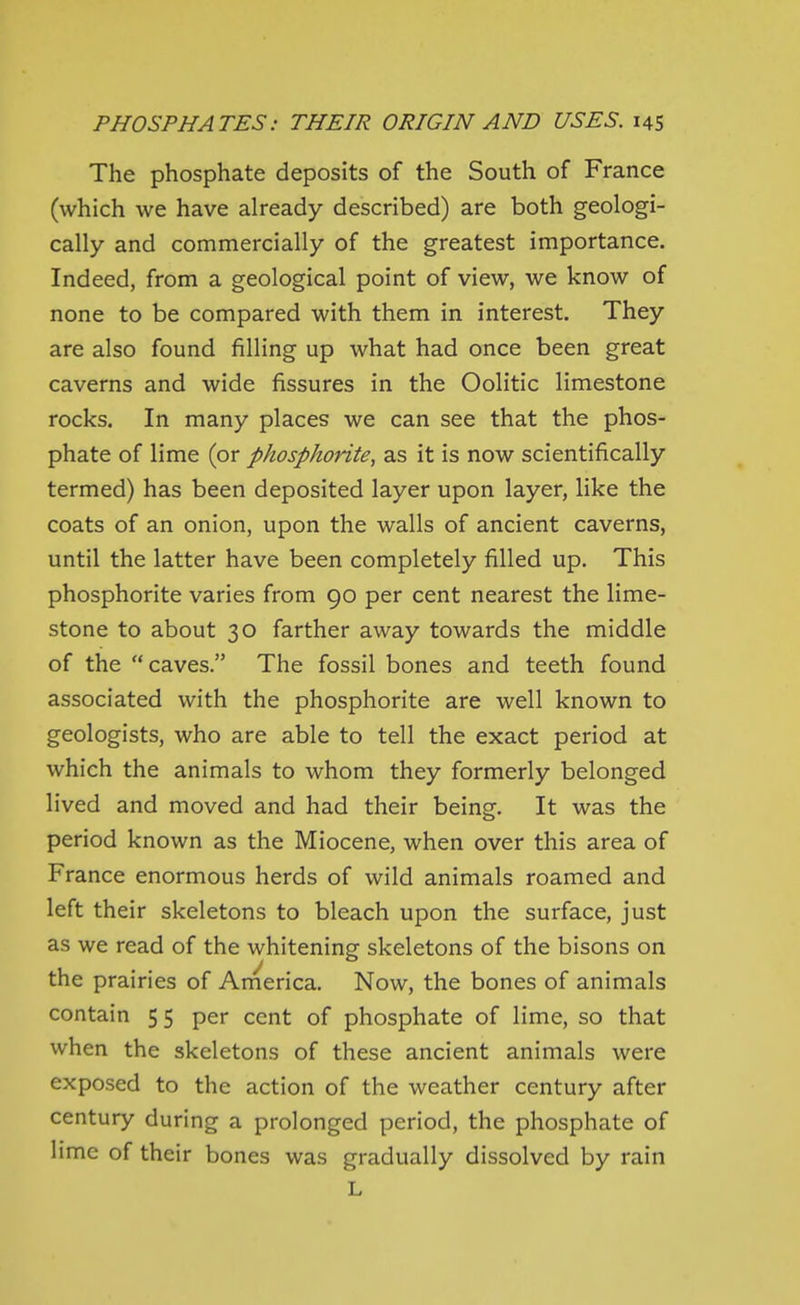 The phosphate deposits of the South of France (which we have already described) are both geologi- cally and commercially of the greatest importance. Indeed, from a geological point of view, we know of none to be compared with them in interest. They are also found filling up what had once been great caverns and wide fissures in the Oolitic limestone rocks. In many places we can see that the phos- phate of lime (or phosphorite, as it is now scientifically termed) has been deposited layer upon layer, like the coats of an onion, upon the walls of ancient caverns, until the latter have been completely filled up. This phosphorite varies from 90 per cent nearest the lime- stone to about 30 farther away towards the middle of the caves. The fossil bones and teeth found associated with the phosphorite are well known to geologists, who are able to tell the exact period at which the animals to whom they formerly belonged lived and moved and had their being. It was the period known as the Miocene, when over this area of France enormous herds of wild animals roamed and left their skeletons to bleach upon the surface, just as we read of the whitening skeletons of the bisons on the prairies of America. Now, the bones of animals contain 55 per cent of phosphate of lime, so that when the skeletons of these ancient animals were exposed to the action of the weather century after century during a prolonged period, the phosphate of lime of their bones was gradually dissolved by rain L