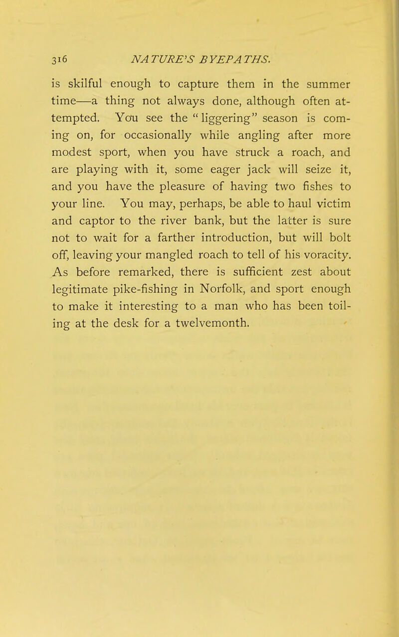 is skilful enough to capture them in the summer time—a thing not always done, although often at- tempted. You see the  liggering season is com- ing on, for occasionally while angling after more modest sport, when you have struck a roach, and are playing with it, some eager jack will seize it, and you have the pleasure of having two fishes to your line. You may, perhaps, be able to haul victim and captor to the river bank, but the latter is sure not to wait for a farther introduction, but will bolt off, leaving your mangled roach to tell of his voracity. As before remarked, there is sufficient zest about legitimate pike-fishing in Norfolk, and sport enough to make it interesting to a man who has been toil- ing at the desk for a twelvemonth.