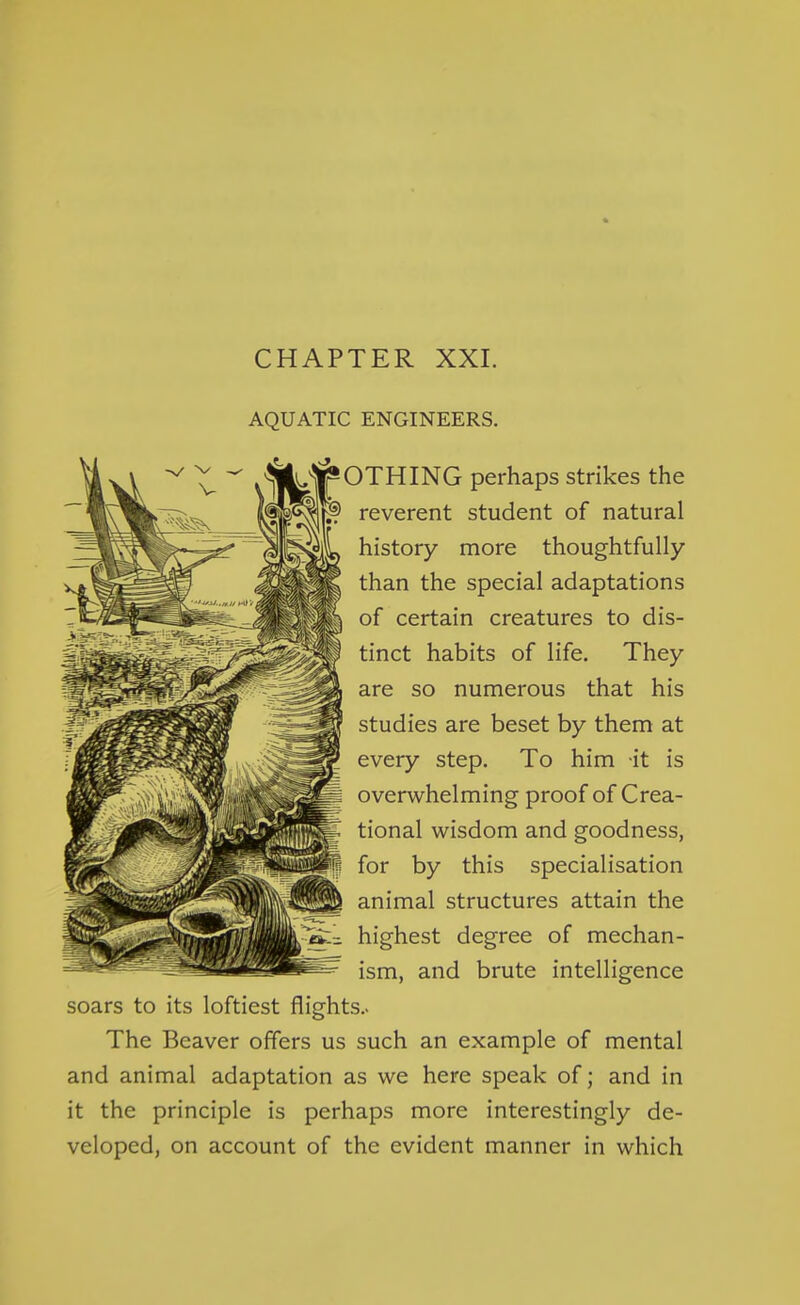 CHAPTER XXI. AQUATIC ENGINEERS. 'OTHING perhaps strikes the reverent student of natural history more thoughtfully than the special adaptations of certain creatures to dis- tinct habits of life. They are so numerous that his studies are beset by them at every step. To him it is overwhelming proof of Crea- tional wisdom and goodness, for by this specialisation animal structures attain the highest degree of mechan- ism, and brute intelligence soars to its loftiest flights.. The Beaver offers us such an example of mental and animal adaptation as we here speak of; and in it the principle is perhaps more interestingly de- veloped, on account of the evident manner in which