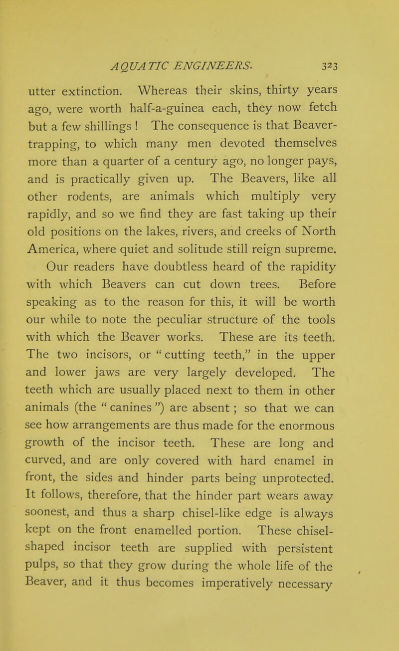 utter extinction. Whereas their skins, thirty years ago, were worth half-a-guinea each, they now fetch but a few shillings ! The consequence is that Beaver- trapping, to which many men devoted themselves more than a quarter of a century ago, no longer pays, and is practically given up. The Beavers, like all other rodents, are animals which multiply very rapidly, and so we find they are fast taking up their old positions on the lakes, rivers, and creeks of North America, where quiet and solitude still reign supreme. Our readers have doubtless heard of the rapidity with which Beavers can cut down trees. Before speaking as to the reason for this, it will be worth our while to note the peculiar structure of the tools with which the Beaver works. These are its teeth. The two incisors, or  cutting teeth, in the upper and lower jaws are very largely developed. The teeth which are usually placed next to them in other animals (the  canines ) are absent; so that we can see how arrangements are thus made for the enormous growth of the incisor teeth. These are long and curved, and are only covered with hard enamel in front, the sides and hinder parts being unprotected. It follows, therefore, that the hinder part wears away soonest, and thus a sharp chisel-like edge is always kept on the front enamelled portion. These chisel- shaped incisor teeth are supplied with persistent pulps, so that they grow during the whole life of the Beaver, and it thus becomes imperatively necessary