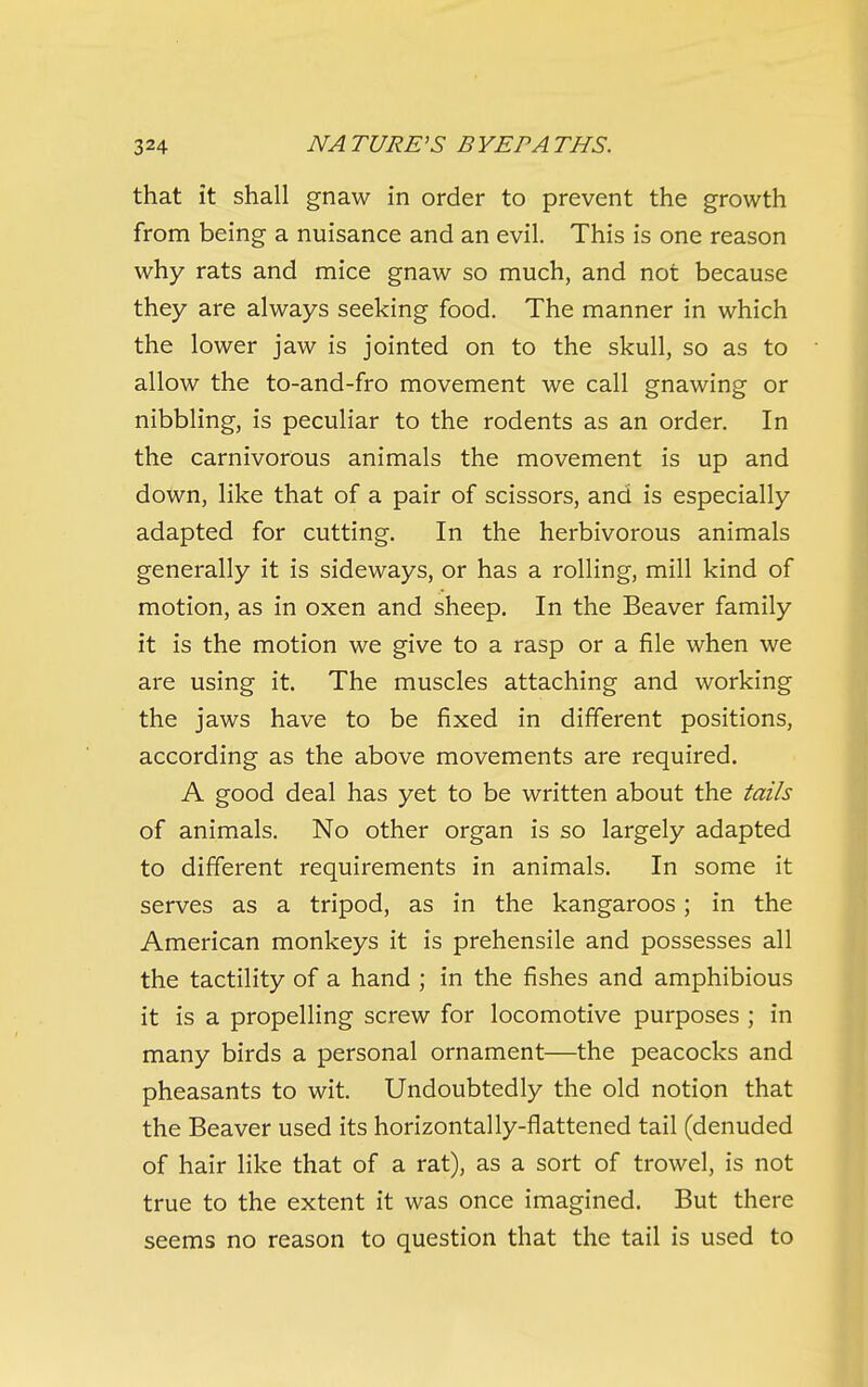 that it shall gnaw in order to prevent the growth from being a nuisance and an evil. This is one reason why rats and mice gnaw so much, and not because they are always seeking food. The manner in which the lower jaw is jointed on to the skull, so as to allow the to-and-fro movement we call gnawing or nibbling, is peculiar to the rodents as an order. In the carnivorous animals the movement is up and down, like that of a pair of scissors, and is especially adapted for cutting. In the herbivorous animals generally it is sideways, or has a rolling, mill kind of motion, as in oxen and sheep. In the Beaver family it is the motion we give to a rasp or a file when we are using it. The muscles attaching and working the jaws have to be fixed in different positions, according as the above movements are required. A good deal has yet to be written about the tails of animals. No other organ is so largely adapted to different requirements in animals. In some it serves as a tripod, as in the kangaroos; in the American monkeys it is prehensile and possesses all the tactility of a hand ; in the fishes and amphibious it is a propelling screw for locomotive purposes ; in many birds a personal ornament—the peacocks and pheasants to wit. Undoubtedly the old notion that the Beaver used its horizontally-flattened tail (denuded of hair like that of a rat), as a sort of trowel, is not true to the extent it was once imagined. But there seems no reason to question that the tail is used to