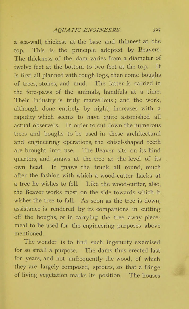 a sea-wall, thickest at the base and thinnest at the top. This is the principle adopted by Beavers. The thickness of the dam varies from a diameter of twelve feet at the bottom to two feet at the top. It is first all planned with rough logs, then come boughs of trees, stones, and mud. The latter is carried in the fore-paws of the animals, handfuls at a time. Their industry is truly marvellous ; and the work, although done entirely by night, increases with a rapidity which seems to have quite astonished all actual observers. In order to cut down the numerous trees and boughs to be used in these architectural and engineering operations, the chisel-shaped teeth are brought into use. The Beaver sits on its hind quarters, and gnaws at the tree at the level of its own head. It gnaws the trunk all round, much after the fashion with which a wood-cutter hacks at a tree he wishes to fell. Like the wood-cutter, also, the Beaver works most on the side towards which it wishes the tree to fall. As soon as the tree is down, assistance is rendered by its companions in cutting off the boughs, or in carrying the tree away piece- meal to be used for the engineering purposes above mentioned. The wonder is to find such ingenuity exercised for so small a purpose. The dams thus erected last for years, and not unfrequently the wood, of which they are largely composed, sprouts, so that a fringe of living vegetation marks its position. The houses