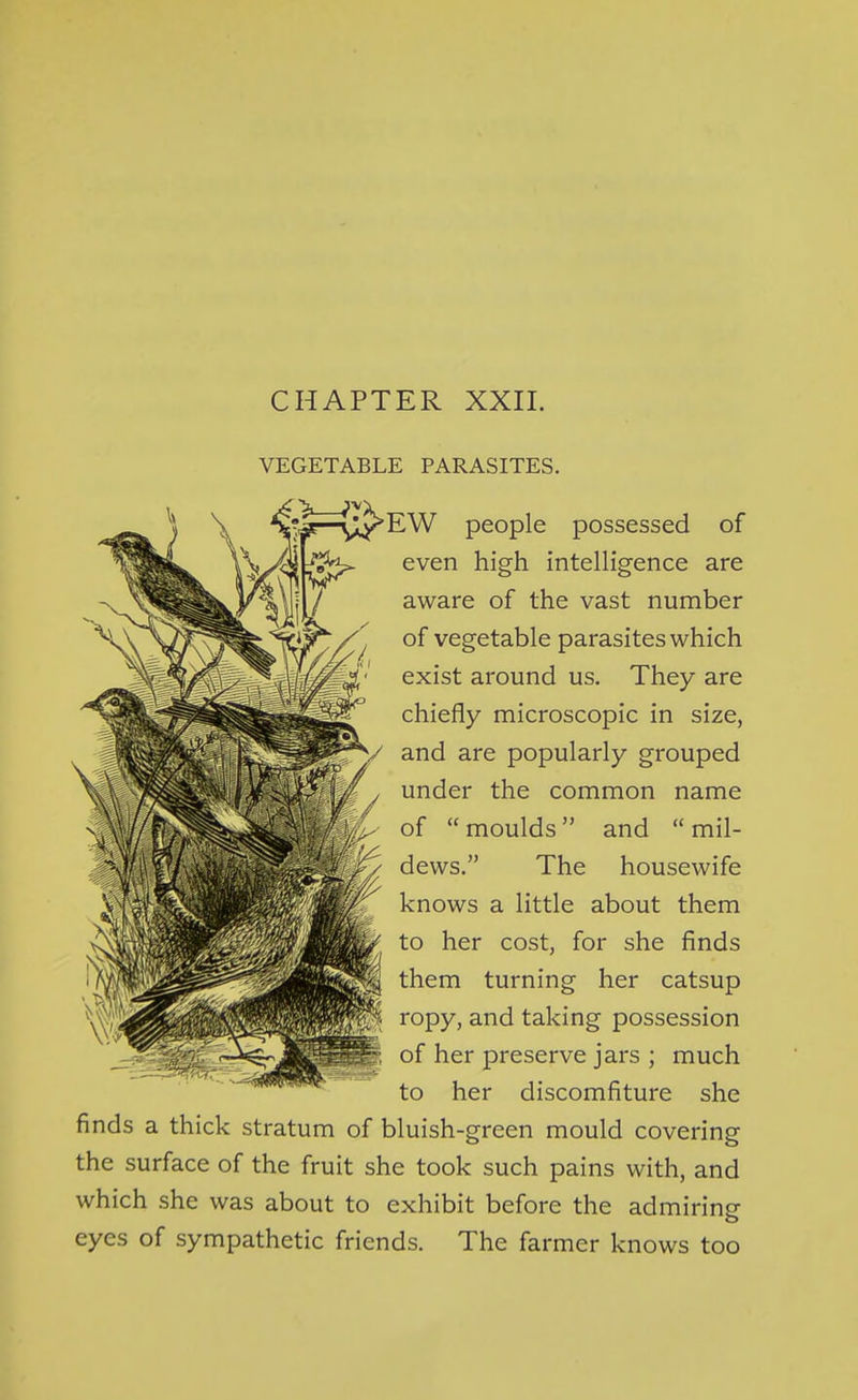 CHAPTER XXII. VEGETABLE PARASITES. ^' ^■'^EW people possessed of even high intelligence are aware of the vast number of vegetable parasites which exist around us. They are chiefly microscopic in size, and are popularly grouped under the common name of  moulds and  mil- dews. The housewife knows a little about them to her cost, for she finds them turning her catsup ropy, and taking possession of her preserve jars ; much to her discomfiture she finds a thick stratum of bluish-green mould covering the surface of the fruit she took such pains with, and which she was about to exhibit before the admirinp- eyes of sympathetic friends. The farmer knows too