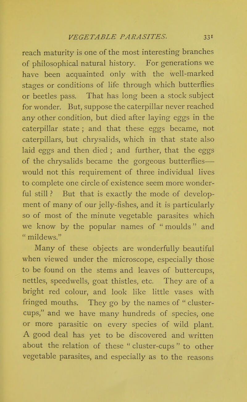 reach maturity is one of the most interesting branches of philosophical natural history. For generations we have been acquainted only with the well-marked stages or conditions of life through which butterflies or beetles pass. That has long been a stock subject for wonder. But, suppose the caterpillar never reached any other condition, but died after laying eggs in the caterpillar state ; and that these eggs became, not caterpillars, but chrysalids, which in that state also laid eggs and then died ; and further, that the eggs of the chrysalids became the gorgeous butterflies— would not this requirement of three individual lives to complete one circle of existence seem more wonder- ful stillBut that is exactly the mode of develop- ment of many of our jelly-fishes, and it is particularly so of most of the minute vegetable parasites which we know by the popular names of  moulds and  mildews. Many of these objects are wonderfully beautiful when viewed under the microscope, especially those to be found on the stems and leaves of buttercups, nettles, speedwells, goat thistles, etc. They are of a bright red colour, and look like little vases with fringed mouths. They go by the names of  cluster- cups, and we have many hundreds of species, one or more parasitic on every species of wild plant. A good deal has yet to be discovered and written about the relation of these  cluster-cups  to other vegetable parasites, and especially as to the reasons