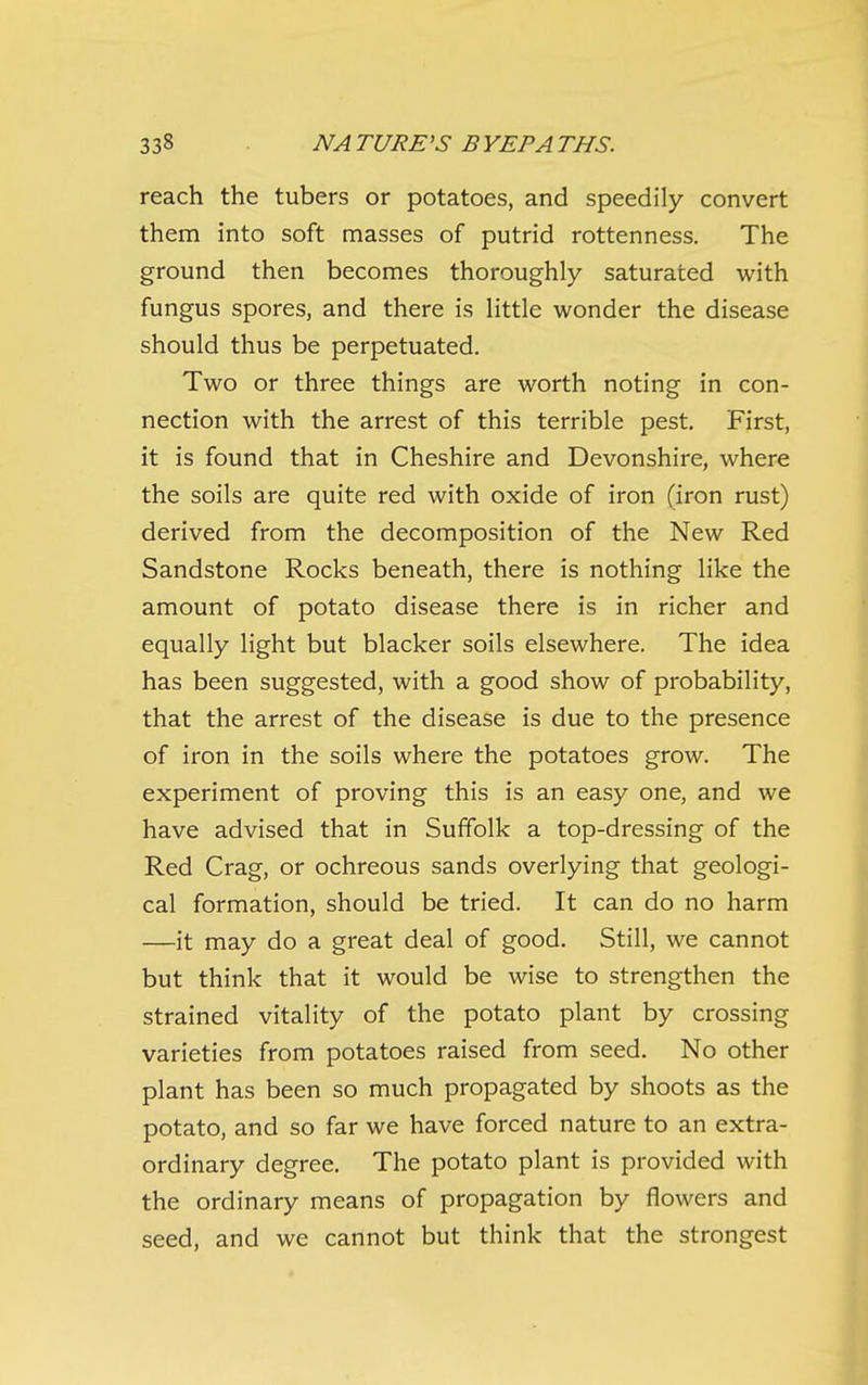 reach the tubers or potatoes, and speedily convert them into soft masses of putrid rottenness. The ground then becomes thoroughly saturated with fungus spores, and there is little wonder the disease should thus be perpetuated. Two or three things are worth noting in con- nection with the arrest of this terrible pest. First, it is found that in Cheshire and Devonshire, where the soils are quite red with oxide of iron (iron rust) derived from the decomposition of the New Red Sandstone Rocks beneath, there is nothing like the amount of potato disease there is in richer and equally light but blacker soils elsewhere. The idea has been suggested, with a good show of probability, that the arrest of the disease is due to the presence of iron in the soils where the potatoes grow. The experiment of proving this is an easy one, and we have advised that in Suffolk a top-dressing of the Red Crag, or ochreous sands overlying that geologi- cal formation, should be tried. It can do no harm —it may do a great deal of good. Still, we cannot but think that it would be wise to strengthen the strained vitality of the potato plant by crossing varieties from potatoes raised from seed. No other plant has been so much propagated by shoots as the potato, and so far we have forced nature to an extra- ordinary degree. The potato plant is provided with the ordinary means of propagation by flowers and seed, and we cannot but think that the strongest