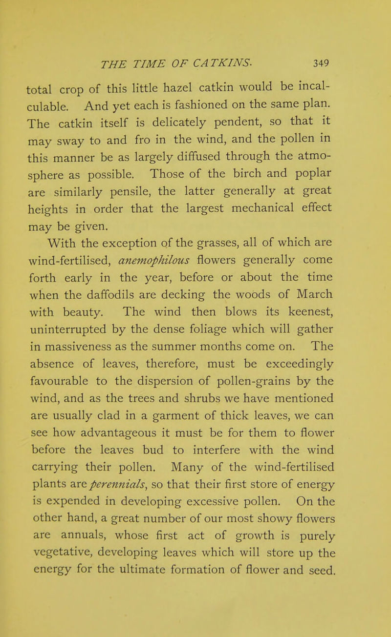 total crop of this little hazel catkin would be incal- culable. And yet each is fashioned on the same plan. The catkin itself is delicately pendent, so that it may sway to and fro in the wind, and the pollen in this manner be as largely diffused through the atmo- sphere as possible. Those of the birch and poplar are similarly pensile, the latter generally at great heights in order that the largest mechanical effect may be given. With the exception of the grasses, all of which are wind-fertilised, anemophilous flowers generally come forth early in the year, before or about the time when the daffodils are decking the woods of March with beauty. The wind then blows its keenest, uninterrupted by the dense foliage which will gather in massiveness as the summer months come on. The absence of leaves, therefore, must be exceedingly favourable to the dispersion of pollen-grains by the wind, and as the trees and shrubs we have mentioned are usually clad in a garment of thick leaves, we can see how advantageous it must be for them to flower before the leaves bud to interfere with the wind carrying their pollen. Many of the wind-fertilised plants are perennials, so that their first store of energy is expended in developing excessive pollen. On the other hand, a great number of our most showy flowers are annuals, whose first act of growth is purely vegetative, developing leaves which will store up the energy for the ultimate formation of flower and seed.