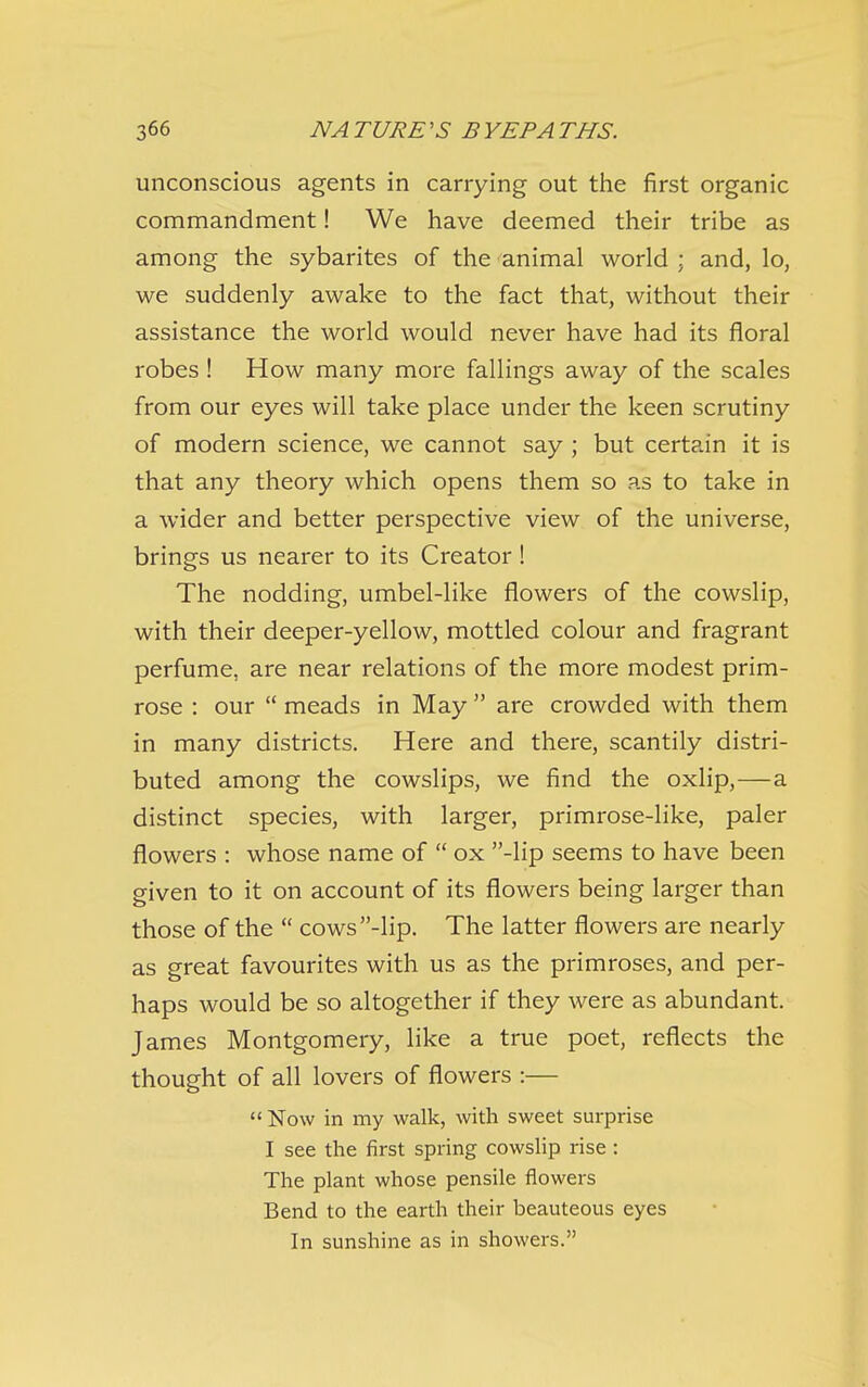 unconscious agents in carrying out the first organic commandment! We have deemed their tribe as among the sybarites of the animal world ; and, lo, we suddenly awake to the fact that, without their assistance the world would never have had its floral robes ! How many more fallings away of the scales from our eyes will take place under the keen scrutiny of modern science, we cannot say ; but certain it is that any theory which opens them so as to take in a wider and better perspective view of the universe, brings us nearer to its Creator ! The nodding, umbel-like flowers of the cowslip, with their deeper-yellow, mottled colour and fragrant perfume, are near relations of the more modest prim- rose : our  meads in May  are crowded with them in many districts. Here and there, scantily distri- buted among the cowslips, we find the oxlip,—a distinct species, with larger, primrose-like, paler flowers : whose name of  ox -lip seems to have been given to it on account of its flowers being larger than those of the  cows -lip. The latter flowers are nearly as great favourites with us as the primroses, and per- haps would be so altogether if they were as abundant. James Montgomery, like a true poet, reflects the thought of all lovers of flowers :—  Now in my walk, with sweet surprise I see the first spring cowsHp rise : The plant whose pensile flowers Bend to the earth their beauteous eyes In sunshine as in showers.
