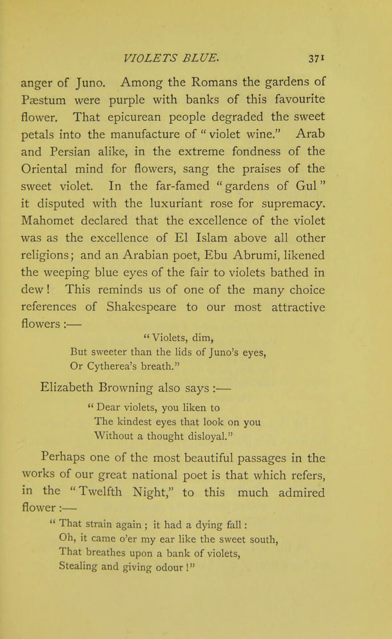 anger of Juno. Among the Romans the gardens of Paestum were purple with banks of this favourite flower. That epicurean people degraded the sweet petals into the manufacture of  violet wine. Arab and Persian alike, in the extreme fondness of the Oriental mind for flowers, sang the praises of the sweet violet. In the far-famed  gardens of Gul  it disputed with the luxuriant rose for supremacy. Mahomet declared that the excellence of the violet was as the excellence of El Islam above all other religions; and an Arabian poet, Ebu Abrumi, likened the weeping blue eyes of the fair to violets bathed in dew! This reminds us of one of the many choice references of Shakespeare to our most attractive flowers:— Violets, dim, But sweeter than the lids of Juno's eyes, Or Cytherea's breath. Elizabeth Browning also says :—  Dear violets, you liken to The kindest eyes that look on you Without a thought disloyal. Perhaps one of the most beautiful passages in the works of our great national poet is that which refers, in the Twelfth Night, to this much admired flower :—  That strain again ; it had a dying fall: Oh, it came o'er my ear like the sweet south, That breathes upon a bank of violets, Stealing and giving odour !