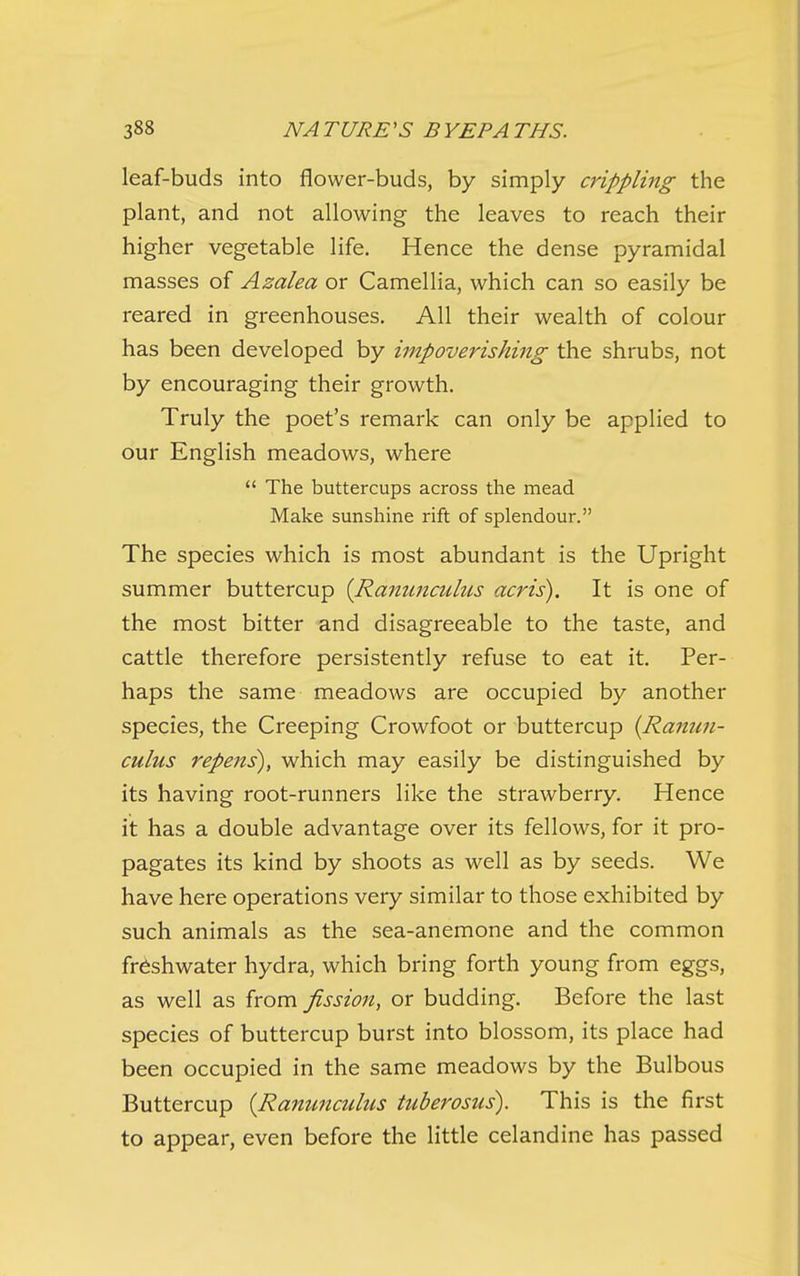 leaf-buds into flower-buds, by simply crippling the plant, and not allowing the leaves to reach their higher vegetable life. Hence the dense pyramidal masses of Azalea or Camellia, which can so easily be reared in greenhouses. All their wealth of colour has been developed by impoverishing the shrubs, not by encouraging their growth. Truly the poet's remark can only be applied to our English meadows, where  The buttercups across the mead Make sunshine rift of splendour. The species which is most abundant is the Upright summer buttercup {Ranunculus acris). It is one of the most bitter and disagreeable to the taste, and cattle therefore persistently refuse to eat it. Per- haps the same meadows are occupied by another species, the Creeping Crowfoot or buttercup {Ranun- culus repens), which may easily be distinguished by its having root-runners like the strawberry. Hence it has a double advantage over its fellows, for it pro- pagates its kind by shoots as well as by seeds. We have here operations very similar to those exhibited by such animals as the sea-anemone and the common freshwater hydra, which bring forth young from eggs, as well as from fission, or budding. Before the last species of buttercup burst into blossom, its place had been occupied in the same meadows by the Bulbous Buttercup {Ranunculus tuberosus). This is the first to appear, even before the little celandine has passed