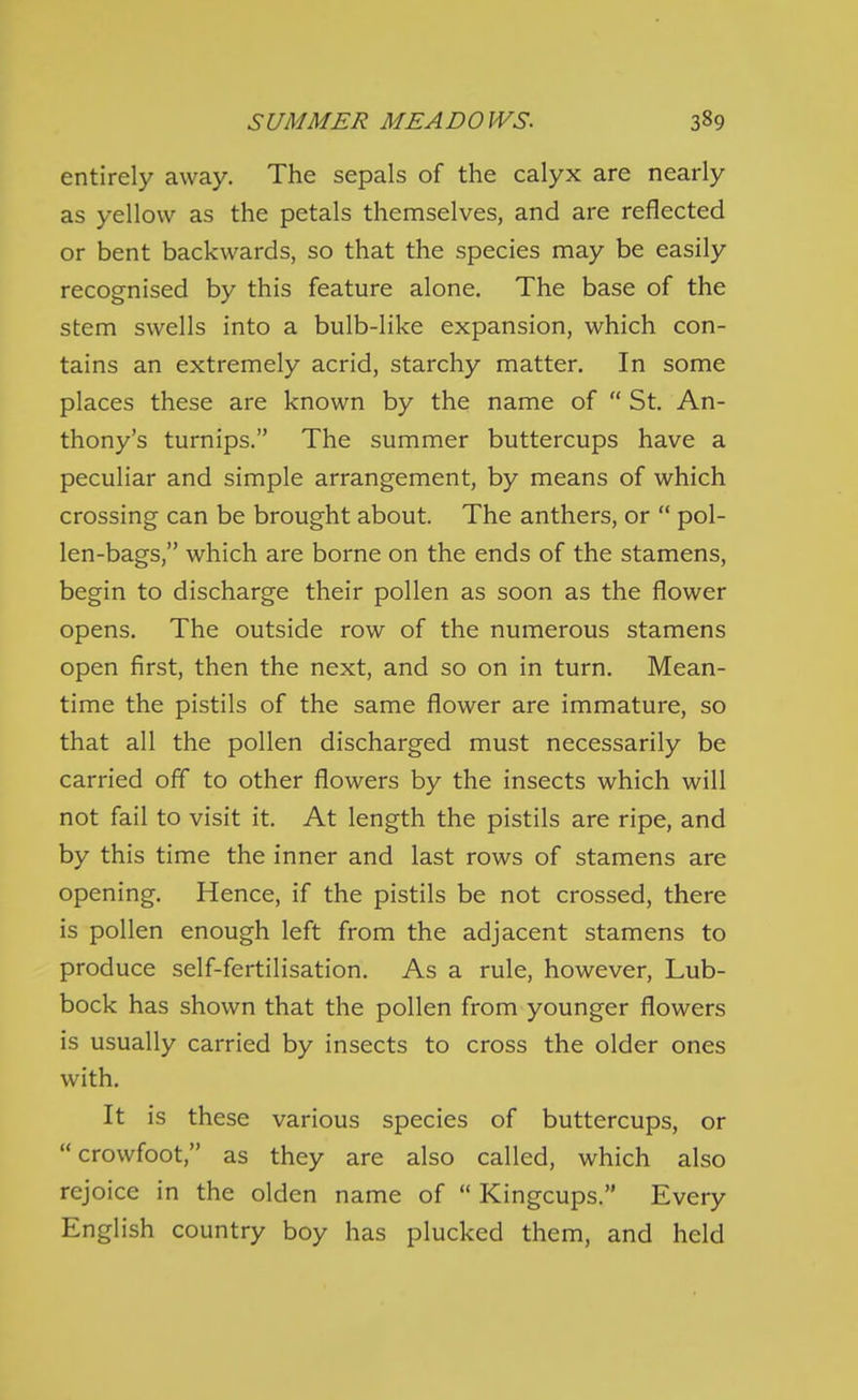 entirely away. The sepals of the calyx are nearly as yellow as the petals themselves, and are reflected or bent backwards, so that the species may be easily recognised by this feature alone. The base of the stem swells into a bulb-like expansion, which con- tains an extremely acrid, starchy matter. In some places these are known by the name of  St. An- thony's turnips. The summer buttercups have a peculiar and simple arrangement, by means of which crossing can be brought about. The anthers, or  pol- len-bags, which are borne on the ends of the stamens, begin to discharge their pollen as soon as the flower opens. The outside row of the numerous stamens open first, then the next, and so on in turn. Mean- time the pistils of the same flower are immature, so that all the pollen discharged must necessarily be carried off to other flowers by the insects which will not fail to visit it. At length the pistils are ripe, and by this time the inner and last rows of stamens are opening. Hence, if the pistils be not crossed, there is pollen enough left from the adjacent stamens to produce self-fertilisation. As a rule, however, Lub- bock has shown that the pollen from younger flowers is usually carried by insects to cross the older ones with. It is these various species of buttercups, or crowfoot, as they are also called, which also rejoice in the olden name of  Kingcups. Every English country boy has plucked them, and held