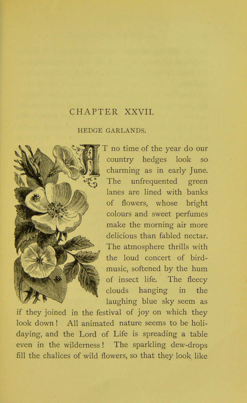 CHAPTER XXVII. HEDGE GARLANDS. T no time of the year do our country hedges look so charming as in early June. The unfrequented green lanes are lined with banks of flowers, whose bright colours and sweet perfumes make the morning air more delicious than fabled nectar. The atmosphere thrills with the loud concert of bird- music, softened by the hum of insect life. The fleecy clouds hanging in the laughing blue sky seem as if they joined in the festival of joy on which they look down ! All animated nature seems to be holi- daying, and the Lord of Life is spreading a table even in the wilderness ! The sparkling dew-drops fill the chalices of wild flowers, so that they look like