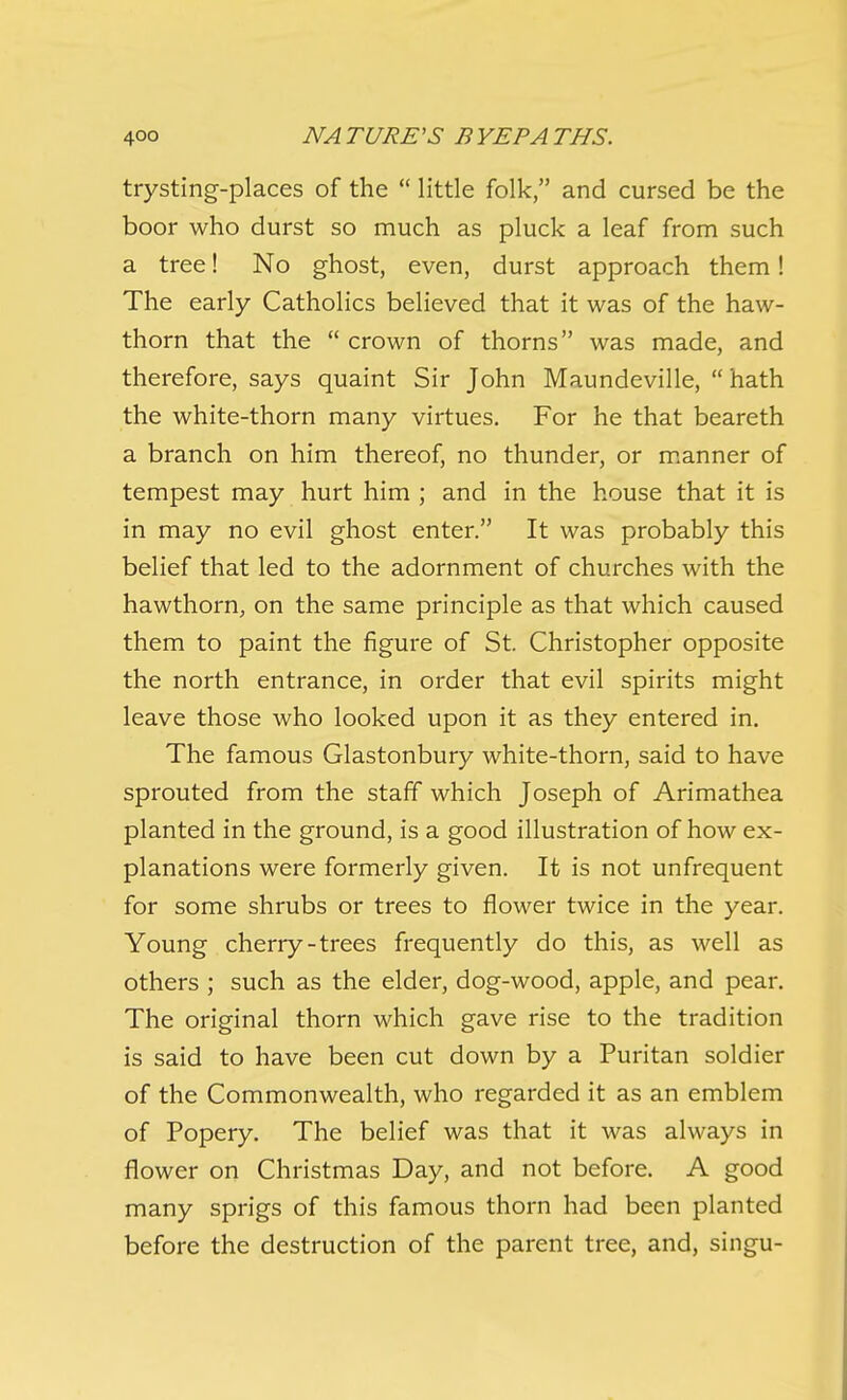 trysting-places of the  little folk, and cursed be the boor who durst so much as pluck a leaf from such a tree! No ghost, even, durst approach them! The early Catholics believed that it was of the haw- thorn that the crown of thorns was made, and therefore, says quaint Sir John Maundeville,  hath the white-thorn many virtues. For he that beareth a branch on him thereof, no thunder, or manner of tempest may hurt him ; and in the house that it is in may no evil ghost enter. It was probably this belief that led to the adornment of churches with the hawthorn, on the same principle as that which caused them to paint the figure of St. Christopher opposite the north entrance, in order that evil spirits might leave those who looked upon it as they entered in. The famous Glastonbury white-thorn, said to have sprouted from the staff which Joseph of Arimathea planted in the ground, is a good illustration of how ex- planations were formerly given. It is not unfrequent for some shrubs or trees to flower twice in the year. Young cherry-trees frequently do this, as well as others ; such as the elder, dog-wood, apple, and pear. The original thorn which gave rise to the tradition is said to have been cut down by a Puritan soldier of the Commonwealth, who regarded it as an emblem of Popery. The belief was that it was always in flower on Christmas Day, and not before. A good many sprigs of this famous thorn had been planted before the destruction of the parent tree, and, singu-