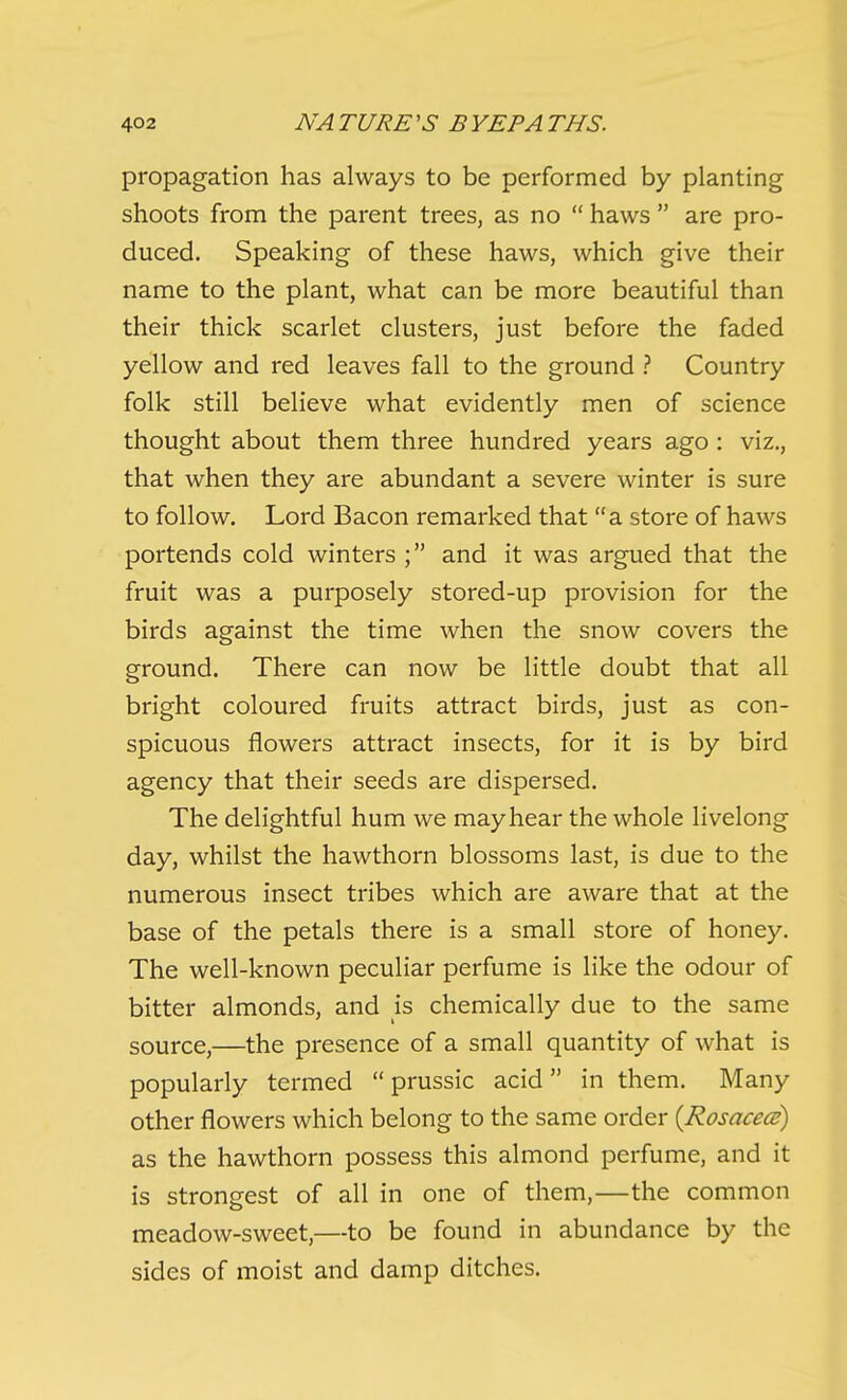 propagation has always to be performed by planting shoots from the parent trees, as no  haws  are pro- duced. Speaking of these haws, which give their name to the plant, what can be more beautiful than their thick scarlet clusters, just before the faded yellow and red leaves fall to the ground ? Country folk still believe what evidently men of science thought about them three hundred years ago : viz., that when they are abundant a severe winter is sure to follow. Lord Bacon remarked that a store of haws portends cold winters ; and it was argued that the fruit was a purposely stored-up provision for the birds against the time when the snow covers the ground. There can now be little doubt that all bright coloured fruits attract birds, just as con- spicuous flowers attract insects, for it is by bird agency that their seeds are dispersed. The delightful hum we may hear the whole livelong day, whilst the hawthorn blossoms last, is due to the numerous insect tribes which are aware that at the base of the petals there is a small store of honey. The well-known peculiar perfume is like the odour of bitter almonds, and is chemically due to the same source,—the presence of a small quantity of what is popularly termed  prussic acid in them. Many other flowers which belong to the same order {Rosaced) as the hawthorn possess this almond perfume, and it is strongest of all in one of them,—the common meadow-sweet,—to be found in abundance by the sides of moist and damp ditches.