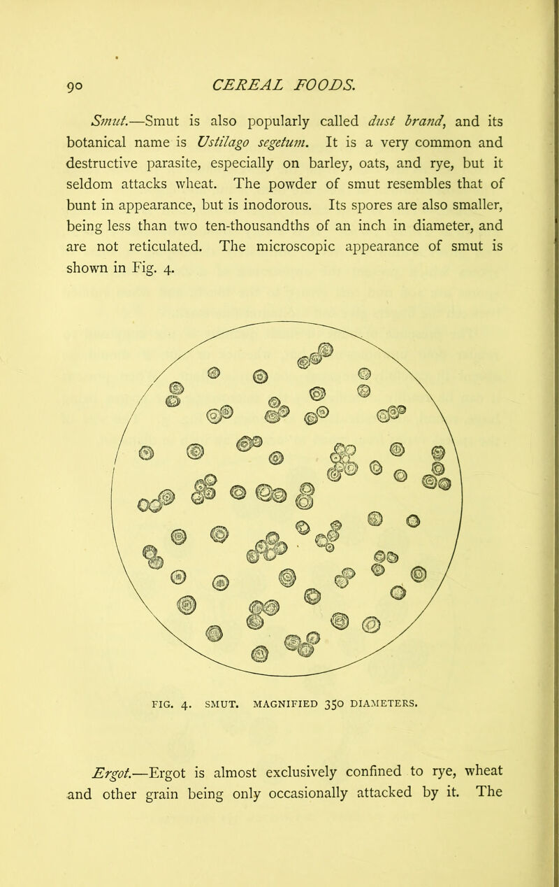 Smut.—Smut is also popularly called dust hrand.^ and its botanical name is Ustilago segetum. It is a very common and destructive parasite, especially on barley, oats, and rye, but it seldom attacks wheat. The powder of smut resembles that of bunt in appearance, but is inodorous. Its spores are also smaller, being less than two ten-thousandths of an inch in diameter, and are not reticulated. The microscopic appearance of smut is shown in Fig. 4. Ergot.—Ergot is almost exclusively confined to rye, wheat and other grain being only occasionally attacked by it. The