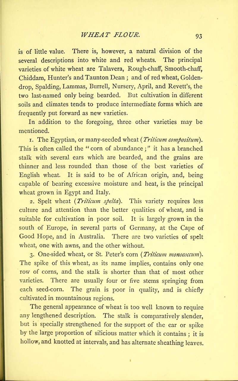 is of little value. There is, however, a natural division of the several descriptions into white and red wheats. The principal varieties of white wheat are Talavera, Rough-chaff, Smooth-chaff, Chiddam, Hunter’s and Taunton Dean ; and of red wheat. Golden- drop, Spalding, Lammas, Burrell, Nursery, April, and Revett’s, the two last-named only being bearded. But cultivation in different soils and climates tends to produce intermediate forms which are frequently put forward as new varieties. In addition to the foregoing, three other varieties may be mentioned. 1. The Egyptian, or many-seeded wheat {Triticum conipositutn). This is often called the ‘‘corn of abundance;” it has a branched stalk with several ears which are bearded, and the grains are thinner and less rounded than those of the best varieties of English wheat. It is said to be of African origin, and, being capable of bearing excessive moisture and heat, is the principal wheat grown in Egypt and Italy. 2. Spelt wheat {Triiicum spelta). This variety requires less culture and attention than the better qualities of wheat, and is suitable for cultivation in poor soil. It is largely grown in the south of Europe, in several parts of Germany, at the Cape of Good Hope, and in Australia. There are two varieties of spelt wheat, one with awns, and the other without. 3. One-sided wheat, or St. Peter’s corn {Triticum monococcuni). The spike of this wheat, as its name implies, contains only one row of corns, and the stalk is shorter than that of most other varieties. There are usually four or five stems springing from each seed-corn. The grain is poor in quality, and is chiefly cultivated in mountainous regions. The general appearance of wheat is too well known to require any lengthened description. The stalk is comparatively slender, but is specially strengthened for the support of the ear or spike by the large proportion of silicious matter which it contains ; it is hollow, and knotted at intervals, and has alternate sheathing leaves.