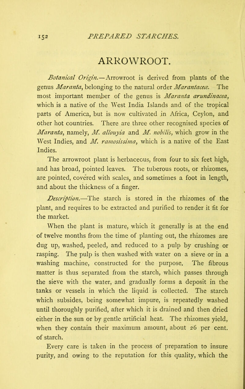 ARROWROOT. Botanical Origin.—Arrowroot is derived from plants of the genus Maranta^ belonging to the natural order Marantacece. The most important memjDer of the genus is Marajita aricndinacea, which is a native of the West India Islands and of the tropical parts of America, but is now cultivated in Africa, Ceylon, and other hot countries. There are three other recognised species of Maranta., namely, M. allouyia and M. nobilis, which grow in the West Indies, and M. ramosissima, which is a native of the East Indies. The arrowroot plant is herbaceous, from four to six feet high, and has broad, pointed leaves. The tuberous roots, or rhizomes, are pointed, covered with scales, and sometimes a foot in length, and about the thickness of a finger. Description.—The starch is stored in the rhizomes of the plant, and requires to be extracted and purified to render it fit for the market. When the plant is mature, which it generally is at the end of twelve months from the time of planting out, the rhizomes are dug up, washed, peeled, and reduced to a pulp by crushing or rasping. The pulp is then washed with water on a sieve or in a washing machine, constructed for the purpose. The fibrous matter is thus separated from the starch, which passes through the sieve with the water, and gradually forms a deposit in the tanks or vessels in which the liquid is collected. The starch which subsides, being somewhat impure, is repeatedly washed until thoroughly purified, after which it is drained and then dried either in the sun or by gentle artificial heat. The rhizomes yield, when they contain their maximum amount, about 26 per cent, of starch. Every care is taken in the process of preparation to insure purity, and owing to the reputation for this quality, which the
