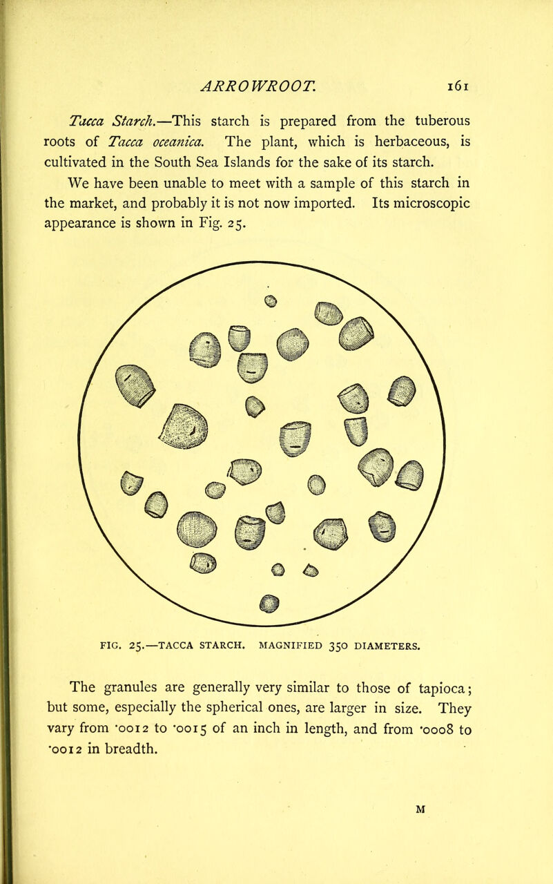 Tacca Starch.—This starch is prepared from the tuberous roots of Tacca oceanica. The plant, which is herbaceous, is cultivated in the South Sea Islands for the sake of its starch. We have been unable to meet with a sample of this starch in the market, and probably it is not now imported. Its microscopic appearance is shown in Fig. 25. FIG. 25.—TACCA STARCH. MAGNIFIED 350 DIAMETERS. The granules are generally very similar to those of tapioca; but some, especially the spherical ones, are larger in size. They vary from *0012 to *0015 of an inch in length, and from *ooo8 to •0012 in breadth. M