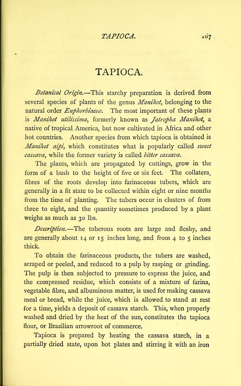 TAPIOCA. Botanical Origin.—This starchy preparation is derived from several species of plants of the genus Manihot^ belonging to the natural order Euphorhiace(B. The most important of these plants is Manihot utilissima^ formerly known as Jatropha Manihot^ a native of tropical America, but now cultivated in Africa and other hot countries. Another species from which tapioca is obtained is Manihot aipi, which constitutes what is popularly called sweet cassava, while the former variety is called bitter cassava. The plants, which are propagated by cuttings, grow in the form of a bush to the height of five or six feet. The collatera. fibres of the roots develop into farinaceous tubers, which are generally in a fit state to be collected within eight or nine months from the time of planting. The tubers occur in clusters of from three to eight, and the quantity sometimes produced by a plant weighs as much as 30 lbs. Description.—The tuberous roots are large and fleshy, and are generally about 14 or 15 inches long, and from 4 to 5 inches thick. To obtain the farinaceous products, the tubers are washed, scraped or peeled, and reduced to a pulp by rasping or grinding. The pulp is then subjected to pressure to express the juice, and the compressed residue, which consists of a mixture of farina, vegetable fibre, and albuminous matter, is used for making cassava meal or bread, while the juice, which is allowed to stand at rest for a time, yields a deposit of cassava starch. This, when properly washed and dried by the heat of the sun, constitutes the tapioca flour, or Brazilian arrowroot of commerce. Tapioca is prepared by heating the cassava starch, in a partially dried state, upon hot plates and stirring it with an iron