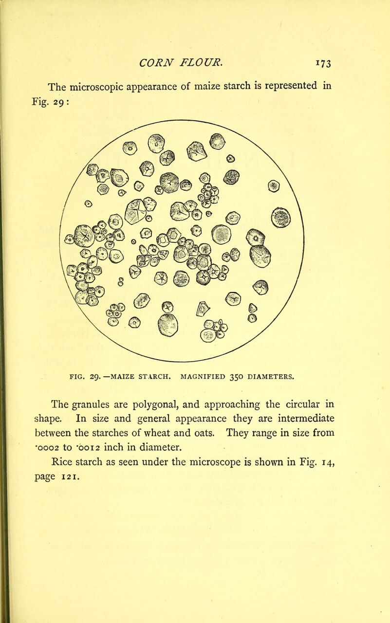 The microscopic appearance of maize starch is represented in Fig. 29: The granules are polygonal, and approaching the circular in shape. In size and general appearance they are intermediate between the starches of wheat and oats. They range in size from '0002 to '0012 inch in diameter. Rice starch as seen under the microscope is shown in Fig. 14, page 121.