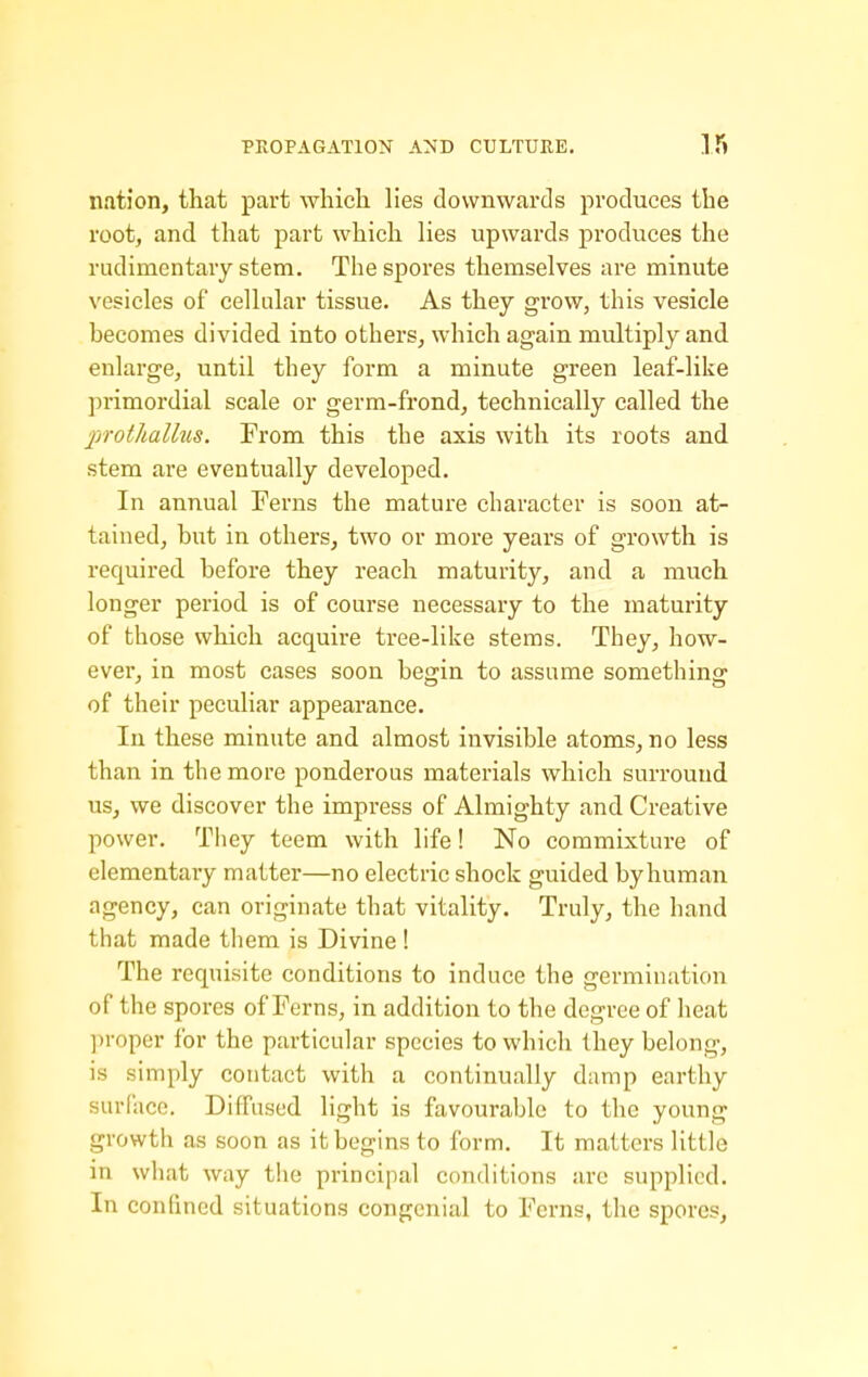 nation, that part which lies downwards produces the root, and that part which lies upwards produces the rudimentary stem. The spores themselves are minute vesicles of cellular tissue. As they grow, this vesicle becomes divided into others, which again multiply and enlarge, until they form a minute green leaf-like primordial scale or germ-frond, technically called the inotliallus. From this the axis with its roots and stem are eventually developed. In annual Ferns the mature character is soon at- tained, but in others, two or more years of growth is required before they reach maturity, and a much longer period is of course necessary to the maturity of those which acquire tree-like stems. They, how- ever, in most cases soon begin to assume something of their peculiar appearance. In these minute and almost invisible atoms, no less than in the more ponderous materials which surround us, we discover the impress of Almighty and Creative power. They teem with life! No commixture of elementary matter—no electric shock guided by human agency, can originate that vitality. Truly, the hand that made them is Divine ! The requisite conditions to induce the germination of the spores of Ferns, in addition to the degree of heat ])roper for the particular species to which they belong, is simply contact with a continually damp earthy surface. Diffused light is favourable to the young growth as soon as it begins to form. It matters little in what way the principal conditions are supplied. In confined situations con{?cnial to Ferns, the spores.