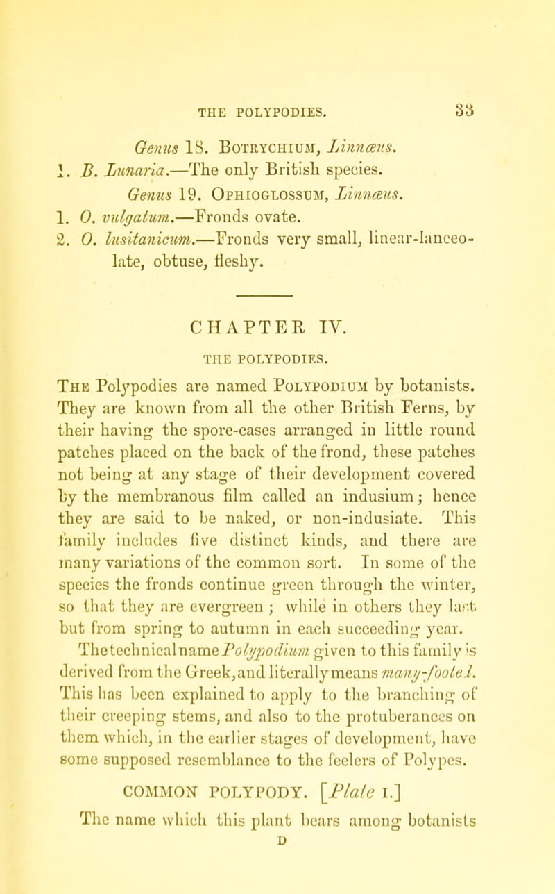 Genus 18. Botrychium, Linnceiis. 1. B. Lunaria.—The only British species. Genus 19. Ophioglossum, Linnceus. 1. 0. vulgatum.—Fronds ovate. 2. 0. lusitanicum.—Fronds very smallj linear-Ianceo hite, obtuse^ fleshy. CHAPTER IV. THE POLYPODIES. The Polypodies are named Polypodium by botanists. They are known from all the other British Ferns, by their having the spore-cases arranged in little round patches placed on the back of the frond, these patches not being at any stage of their development covered by the membranous film called an indusium; hence they are said to be naked, or non-indusiate. This family includes five distinct kinds, and there are many variations of the common sort. In some of the species the fronds continue green through the winter, so that they are evergreen ; while in others they lar.t but from spring to autumn in each succeeding year. ThetechnicalnamePo/y/ioJwm given to this family Is derived from the Greek,and literally means manij-footel. This lias been explained to apply to the branching of their creeping stems, and also to the protuberances on them which, in the earlier stages of development, have Bome supposed resemblance to the feelers of Polypes. COMMON POLYPODY. \_Plale I.] The name which this plant bears among botanists u