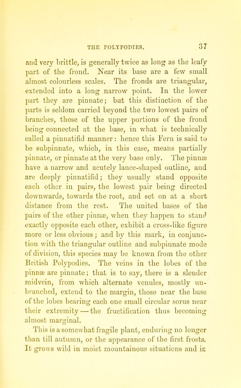 and very brittle, is generally twice as long as tlie leafy part of the frond. Near its base are a few small almost colourless scales. The fronds are triangular, extended into a long nai'row point. In the lower part they are pinnate ; but this distinction of the parts is seldom carried beyond the two lowest pairs of branches, those of the upper portions of the frond being connected at the base, in what is technically called a pinnatifid manner: hence this Fern is said to be subpinnate, which, in this case, means partially pinnate, or pinnate at the very base only. The pinnte have a narrow and acutely lance-shaped outline, and are deeply pinnatifid; they usually stand opposite each other in pairs, the lowest pair being directed downwards, towards the root, and set on at a short distance from the rest. The united bases of the pairs of the other pinniE, when tliey happen to stanc' exactly opposite each other, exhibit a cross-like figure more or less obvious ; and by this mark, in conjunc- tion with the triangular outline and subpinnate mode of division, this species may be known from the other British Polypodies. The veins in the lobes of the pinnte are pinnate; that is to say, there is a slender midvein, from which alternate venules, mostly un- branched, extend to tlie margin, those near the base of the lobes bearing each one small circular sorus near their extremity — the fructification thus becoming almost marginal. This is a somewhat fragile plant, enduring no longer than till autumn, or the appearance of the first frosts. It grows wild iu moist mountainous situations and in