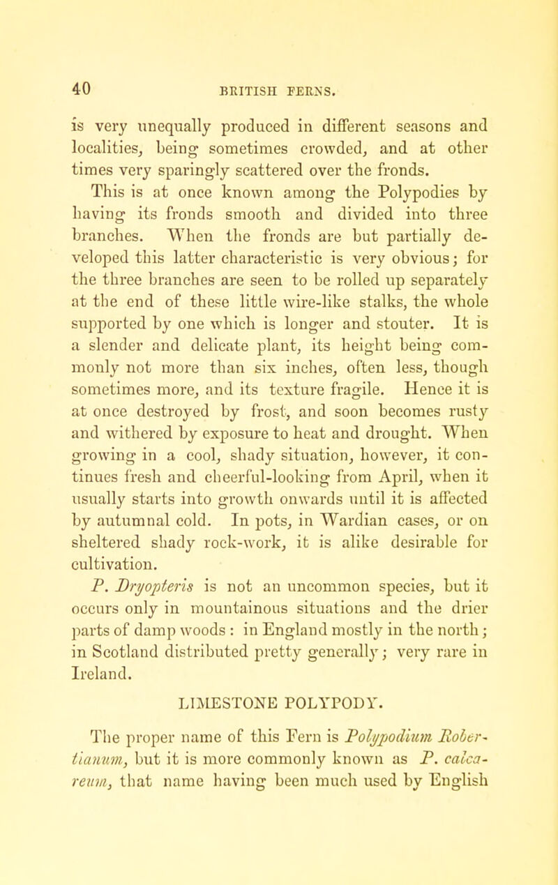 is very unequally produced in different seasons and localities, being sometimes crowded, and at other times very sparingly scattered over the fronds. This is at once known among the Polypodies by having its fronds smooth and divided into three branches. When the fronds are but partially de- veloped this latter characteristic is very obvious; for the three branches are seen to be rolled up separately at the end of these little wire-like stalks, the whole siipported by one which is longer and stouter. It is a slender and delicate plant, its height being com- monly not more than six inches, often less, though sometimes more, and its texture fragile. Hence it is at once destroyed by frost, and soon becomes rusty and withered by exposure to heat and drought. When growing in a cool, shady situation, however, it con- tinues fresh and cheerful-looking from April, when it usually starts into growth onwards until it is affected by autumnal cold. In j)ots, in Wardian cases, or on sheltered shady rock-work, it is alike desirable for cultivation. P. Dri/opteris is not an uncommon species, but it occurs only in mountainous situations and the drier parts of damp woods : in England mostly in the north; in Scotland distributed pretty generally; very rare in Ireland. LBIESTONE POLYPODY. Tlie proper name of this Fern is Pol^jjodhm Rober^ tianum, but it is more commonly known as P. calca- reinn, that name having been much used by English