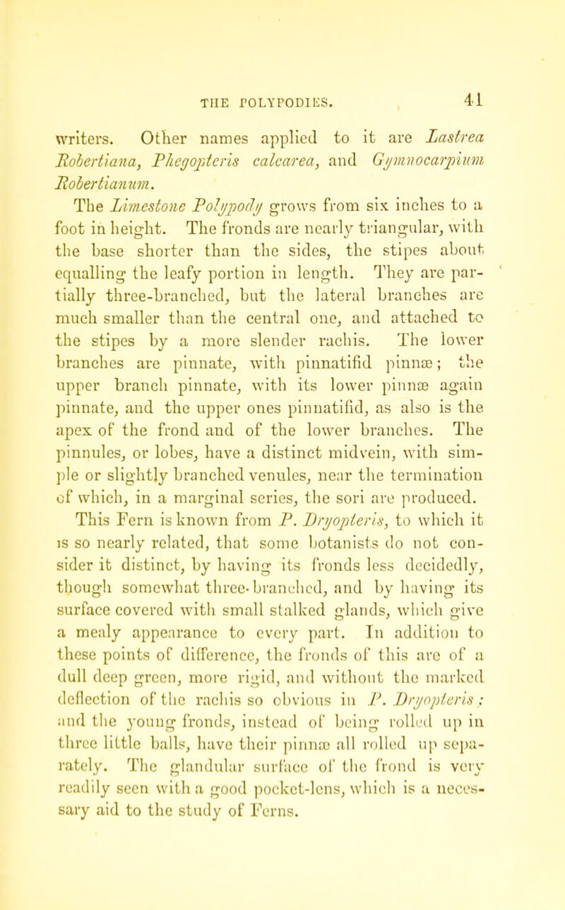 writers. Other names applied to it are Lastrea Robertiana, PhegofAcris calcarea, and Gi/miwcarjnum Rohertianum. The Liynestone Poli/podi/ grows from six inches to a foot in height. The fronds are nearly triangular, with the hase shorter than the sides, the stipes about equalling the leafy portion in length. They are par- tially three-branchedj but the lateral branches are much smaller than the central one, and attached to the stipes by a more slender rachis. The lower branches are pinnate, with pinnatifid pinnae; the upper branch pinnate, with its lower pinnae again pinnate, and the upper ones pinnatifid, as also is the apex of the frond and of the lower branches. The pinnules, or lobes, have a distinct midvein, with sim- ple or slightly branched venules, near the termination of which, in a marginal series, the sori are produced. This Fern is known from P. Bryopierls, to which it is so nearly related, that some botanists do not con- sider it distinct, by having its fronds less decidedly, though somewhat three-branched, and by having its surface covered with small stalked glands, which give a mealy appearance to every part. In addition to these points of difference, the fronds of this are of a dull deep green, more rigid, and without the marked deflection of the racliis so obvious in P. Dnjopieris : and the young fronds, instead of being rolled up in three little balls, have their pinna3 all rolled up sepa- rately. The glandular surface of tlic frond is very readily seen with a good pocket-lens, which is a neces- sary aid to the study of Ferns.