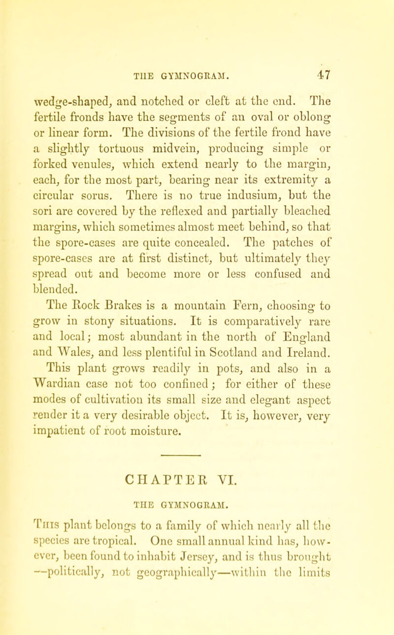 wedge-shaped, and notched or cleft at the end. The fertile fronds have the segments of an oval or oblong or linear form. The divisions of the fertile frond have a slightly tortuous midvein, producing simple or forked venules, which extend nearly to the margin, each, for the most part, bearing near its extremity a circular sorus. There is no true indusium, but the sori are covered by the reflexed and partially bleached margins, which sometimes almost meet behind, so that the spore-cases are quite concealed. The patches of spore-cases are at first distinct, but ultimately they spread out and become more or less confused and blended. The Rock Brakes is a mountain Fern, choosing to grow in stony situations. It is comparatively rare and local; most abundant in the north of England and Wales, and less plentiful in Scotland and Ireland. This plant grows readily in pots, and also in a Wardian case not too confined; for either of these modes of cultivation its small size and elegant aspect render it a very desirable object. It is, however, very impatient of root moisture. CHAPTER VI. THE GYMNOGRAM. This plant belongs to a family of which nearly all the species are tropical. One small annual kind has, how- ever, been found to inhabit Jersey, and is thus brought —politically, not geographically—within the limits