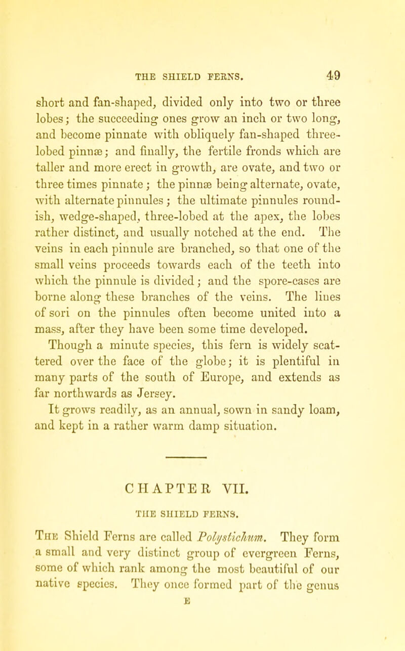 short and fan-shaped, divided only into two or three lobes; the succeeding ones grow an inch or two long, and become pinnate with obliquely fan-shaped three- lobed pinnse; and finally, the fertile fronds which are taller and more erect in growth, are ovate, and two or three times pinnate ; the pinnae being alternate, ovate, with alternate pinnules ; the ultimate pinnules round- ish, wedge-shaped, three-lobed at the apex, the lobes rather distinct, and usually notched at the end. Tiie veins in each pinnule are branched, so that one of the small veins proceeds towards each of the teeth into which the pinnule is divided; and the spore-cases are borne along these branches of the veins. The Hues of sori on the pinnules often become united into a mass, after they have been some time developed. Though a minute species, this fern is widely scat- tered over the face of the globe; it is plentiful in many parts of the south of Europe, and extends as far northwards as Jersey. It grows readily, as an annual, sown in sandy loam, and kept in a rather warm damp situation. CHAPTER VII. TUB SHIELD FEKNS. The Shield Ferns are called Poli/sticJmm. They form a small and very distinct group of evergreen Ferns, some of which rank among the most beautiful of our native species. They once formed part of the genus E