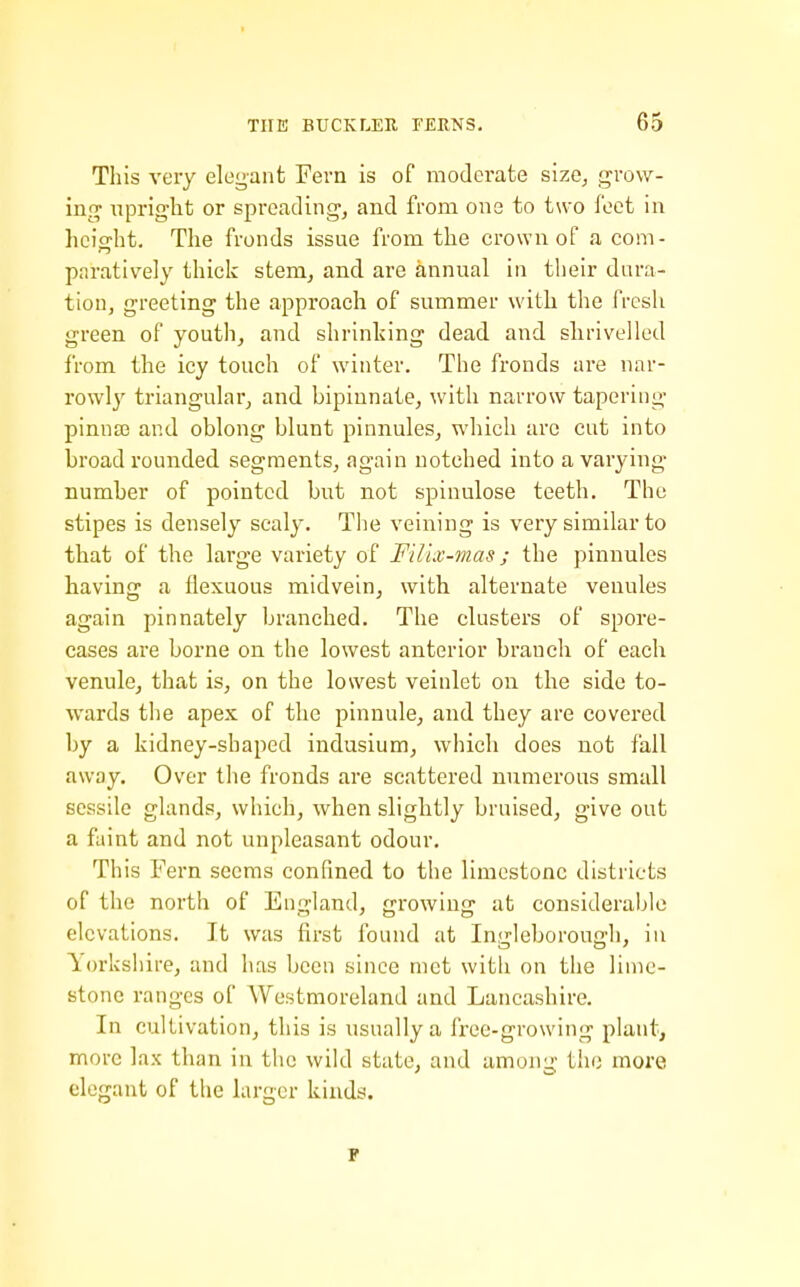 This very elegant Fern is of moderate size, grow- ing upright or spreading, and from one to two foet in hcicrht. The fronds issue from the crown of a com- paratively thicic stem, and are annual in their dura- tion, greeting the approach of summer with the fresh green of youth, and shrinking dead and shrivelled from the icy touch of winter. The fronds are nar- rowly triangular, and bipinnate, with narrow tapering pinna3 and oblong blunt pinnules, which arc cut into broad rounded segments, again notched into a varying number of pointed but not spinulose teeth. The stipes is densely scaly. The veining is very similar to that of the large variety of F'dlx-vias; the pinnules having a flexuous midvein, with alternate venules again pinnately branched. The clusters of spore- cases are borne on the lowest anterior branch of each venule, that is, on the lowest veinlet on the side to- wards the apex of the pinnule, and they are covered by a kidney-shaped indusium, which does not fall away. Over the fronds are scattered numerous small sessile glands, which, when slightly bruised, give out a faint and not unpleasant odour. This Fern seems confined to the limestone districts of the north of England, growing at considerable elevations. It was first found at In<'-leborou'h, in Yorkshire, and has been since met with on the lime- stone ranges of Westmoreland and Lancashire. In cultivation, this is usually a free-growing plant, more lax than in the wild state, and among the more elegant of the larger kinds.