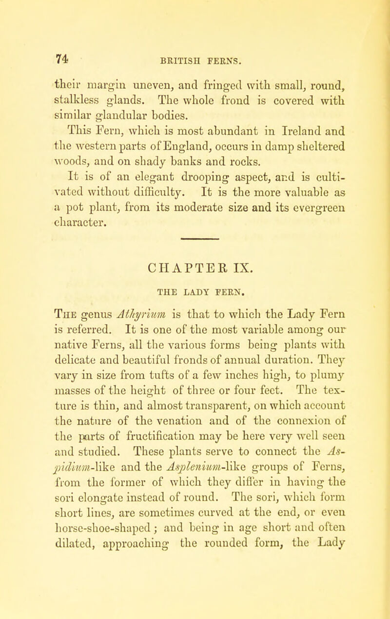 their margin uneven, and fringed with small, round, stallcless glands. The whole frond is covered with similar glandular bodies. This Fern, which is most abundant in Ireland and the western parts of England, occurs in damp sheltered woods, and on shady banks and rocks. It is of an elegant drooping aspect, and is culti- vated without difficulty. It is the more valuable as a pot plant, from its moderate size and its evergreen character. CHAPTER IX. THE LA.DY FERN. The genus Athyrkm is that to which the Lady Fern is referred. It is one of the most variable among our native Ferns, all the various forms being plants with delicate and beautiful fronds of annual duration. They vary in size from tufts of a few inches high, to plumy masses of the height of three or four feet. The tex- ture is thin, and almost transparent, on which account the nature of the venation and of the connexion of the parts of fructification may be here very well seen and studied. These plants serve to connect the As- j)idkim-\ike and the Asj3le7iium-\ike groups of Ferns, from the former of which they difler in having the sori elongate instead of round. The sori, which form short lines, are sometimes curved at the end, or even horsc-shoe-shaped ; and being in age short and often dilated, approaching the rounded form, the Lady