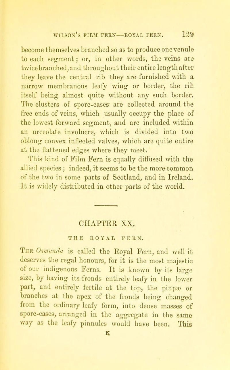 become themselves branched so as to produce one venule to each segment; or, in other words, the veins are twice branched^and throughout their entire length after tliey leave the central rib they are furnished with a narrow membranous leafy wing or border, the rib itself being almost quite without any such border. The clusters of spore-cases are collected around the free ends of veins, which usually occupy the place of the lowest forward segment, and are included within an urceolate involucre, which is divided into two oblong convex inflected valves, which are quite entire at the flattened edges where they meet. This kind of Film Fern is equally difl'used with the allied species; indeed, it seems to be the more common of the two in some parts of Scotland, and in Ireland. It is widely distributed in other parts of the world. CHAPTER XX. THE ROYAL FERN. The O.smtinda is called the Eoyal Fern, and well it deserves the regal honours, for it is the most majestic of our indigenous Ferns. It is known by its large size, by having its fronds entirely leafy in the lower part, and entirely fertile at the top, the pin^ia) or branches at the apex of tlie fronds being changed from the ordinary leafy Ibrm, into dense masses of spore-cases, arranged in the aggregate in the same way as the leafy pinnules would have been. This S