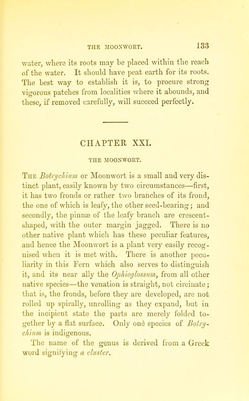 THE MOOXWORT. wateVj wliere its roots may be placed within the reach of the water. It should have peat earth for its roots. The Lest way to establish it is, to procure strong vigorous patches from localities where it abounds, and these, if removed carefully, will succeed perfectly. CHAPTER XXL THE MOONWORT. The Botri/cJmim or Moonwort is a small and very dis- tinct plant, easily known by two circumstances—first, it has two fronds or rather two branches of its frond, the one of which is leafy, the other seed-bearing; and secondly, the pinnae of the leafy branch are crescent- shaped, with the outer margin jagged. There is no other native plant which has these peculiar features, and hence the Moonwort is a plant very easily recog- nised when it is met with. There is another pecu- liarity in this Fern which also serves to distinguish it, and its near ally the Oj'jhiofjlossmn, from all other native species—the venation is straight, not circinate; that is, the fronds, before they are developed, are not rolled up spirally, unrolling as they expand, but in the incipient state the parts are merely folded to- gether by a flat surface. Only one species of BoLrij- chinm is indigenous. Tiic name of tiic genus is derived from a Greek word signifying a cluster.