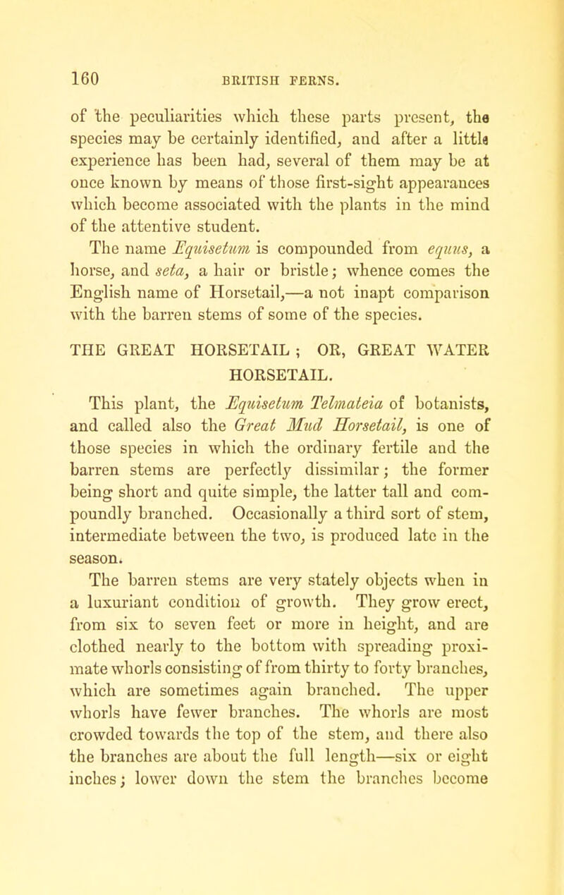 of the peculiarities wliicli these parts present, the species may be certainly identified, and after a littla experience has been had, several of them may be at once known by means of those first-sight appearances which become associated with the plants in the mind of the attentive student. The name JEquisetum is compounded from erjiins, a horse, and seta, a hair or bristle; whence comes the English name of Horsetail,—a not inapt comparison with the barren stems of some of the species. THE GREAT HORSETAIL ; OR, GREAT WATER HORSETAIL. This plant, the Equisetum Telmateia of botanists, and called also the Great Mttd Horsetail, is one of those species in which the ordinary fertile and the barren stems are perfectly dissimilar; the former being short and quite simple, the latter tall and com- poundly branched. Occasionally a third sort of stem, intermediate between the two, is produced late in the season* The barren stems are very stately objects when in a luxuriant conditiou of growth. They grow erect, from six to seven feet or more in height, and are clothed nearly to the bottom with spreading proxi- mate whorls consisting of from thirty to forty branches, which are sometimes again branched. The upper whorls have fewer branches. The whorls are most crowded towards the top of the stem, and there also the branches are about the full length—six or eight inches; lower down the stem the branches become