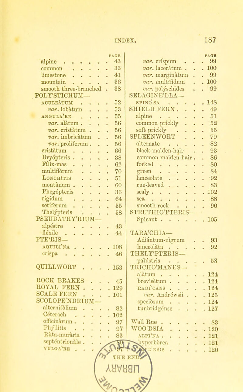 PAGB FA OB var. crispum . . . 99 var. lacorMuiu . . . 100 var. inargin^tur.) . . 99 mountiiin .... . 36 var. multlfidura . 100 smooth three-braucbed . 38 var. polj'schidus . 99 POLY'STICHUM— SELAGINE'LLA— var. lobatum . . . 53 SHIELD FERN. . . . 49 XNGITLA^HE . . . . 55 var. alktum . . . . 56 common prickly . . . 52 var. cristatum . . 56 soft prickly . . . . 55 var. imbricitum . . 56 SPLEENWORT . . . 79 var. prob'fei'um . . . 56 cristiltum .... . 66 black maiden-hair . 93 common maideu-hair. . 86 . 80 tnviltiflbrum . . . . VO . 84 LONCHlTIS . . . . 51 lanceolate .... . 92 Phegoptcris . . . 36 sinooth rock . . . . 90 Thelypteris . . . . 58 STRUTHIO'PTERIS— PSEUDATH Y'R lUM— . 105 . 43 . 44 TARA'CIIIA— FTEUIIS— Adiantum-nigrum . 93 , 108 lanceolilta .... . 92 THELY'PTERIS— . 58 QUILLWORT . . . . 153 TRICHO'MANES— . 124, ROCK BRAKES . . . 45 brcvisctmn .... . 124 ROYAL FERN . . . . 129 . 1?,4 SCALE FERN . . . . 101 var. Andruwsii . . 125 SCOLOPE'NDRIUM— 124 altemifblium . . . . 82 tunbridgcnse . . . . 127 Cetcrach . . . . . 102 Wall Rue rhviiitis . . . . WOO'DSIA . . . . scptcntrionillo . ■riMivi;'NSi3 . . . . TULGA^BE . . . /\\^9T . 120 THE ENDV