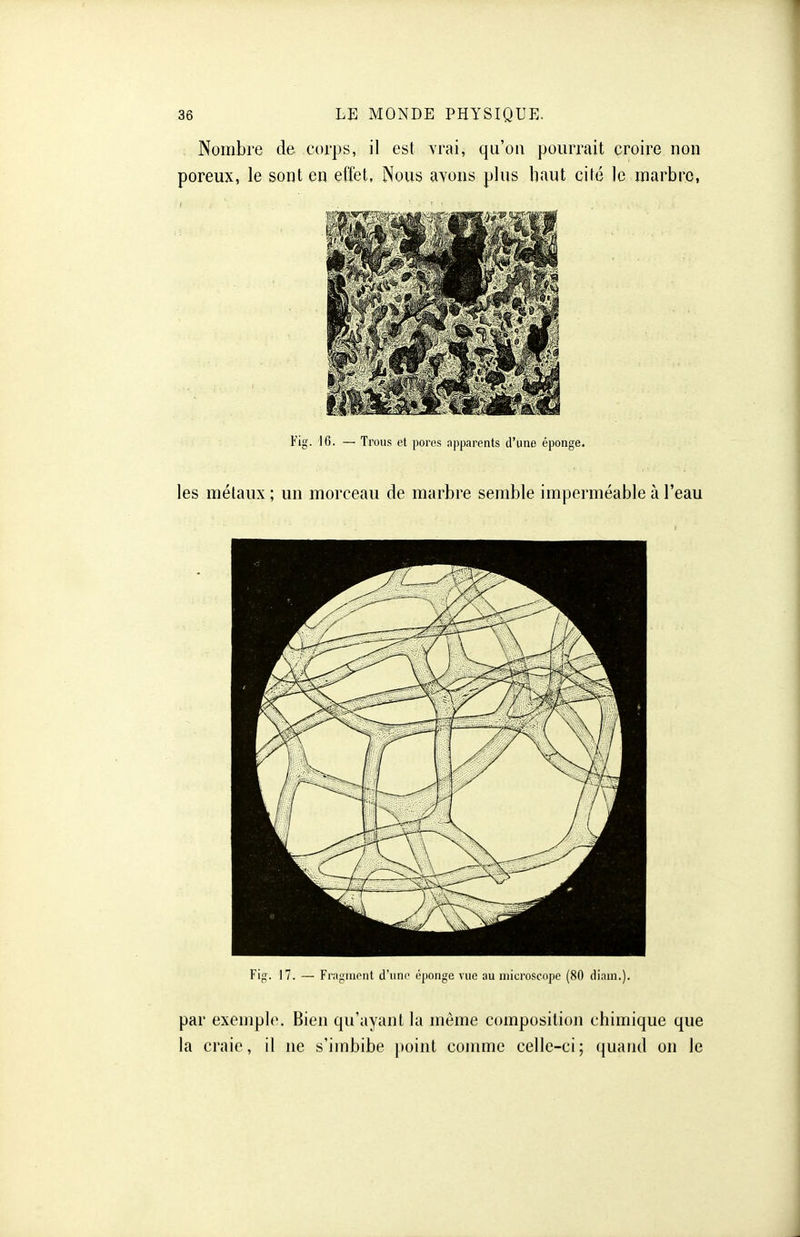 Nombre de corps, il est \'rai, qu'on pourrait croire non poreux, le sont en effet. Nous ayons plus haut cité le marbre, Fig. 16. — Trous et pores apparents d'une éponge. les métaux ; un morceau de marbre semble imperméable à l'eau Fig. 17. — Fragment d'une éponge vue au microscope (80 diain.). par exemple. Bien qu'ayant la même composition chimique que la craie, il ne s'imbibe point comme celle-ci; quand on le