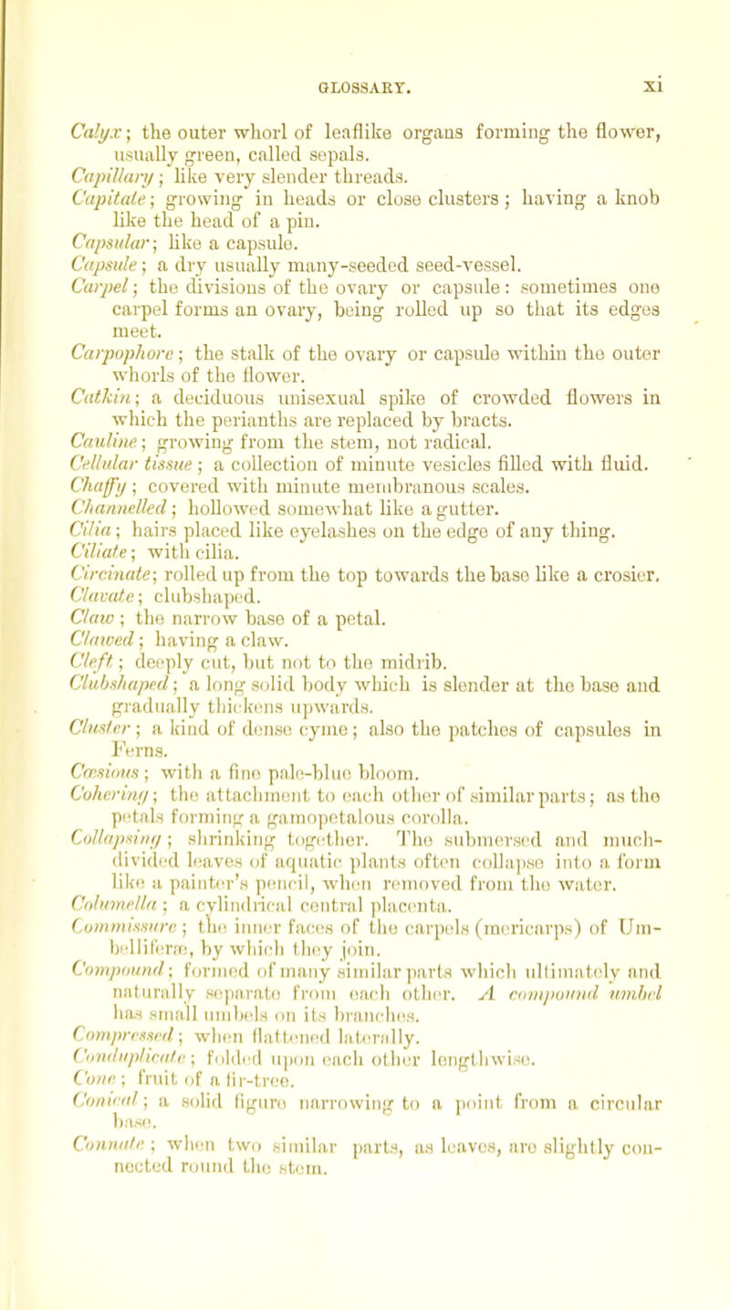 Calyx; the outer wliorl of leaflike organs forming the flo-wer, usually green, called sepals. CapiUan/; like very slender threads. Capitate; growing in heads or close clusters ; having a knob like the head of a pin. Capsular- hke a capsule. Capsule; a dry usually many-seeded seed-vessel. Carpel; the divisions of the ovary or capsule: sometimes one carpel forms an ovary, being rolled up so that its edges meet. Carpophore ; the stalk of the ovary or capsule within the outer whorls of the flower. Catkin; a deciduous luiisexual spike of crowded flowers in which the perianths are replaced by bracts. Cauline; growing from the stem, not radical. Cellular tissue ; a collection of minute vesicles filled with fluid. Chaffi/; covered with minute membranous scales. Channelled; hoflowed somewhat like a gutter. Cilia ; hairs placed like eyelashes on the edge of any thing. Ciliate; witli cilia. Circinate; rolled up from the top towards the base like a crosier, Clacate \ cliibshaped. Claiu ; the narrow base of a petal. Clawed; having a claw. Cleft; deeply cut, but not to the midrib. Cluhshaped; a long solid body which is slender at tlie base and gradually tliickcns upwards. Cluster; a kind of dense; cyme; also the patches of capsules in Ferns. Cmsious ; with a fine pnle-blue bloom. Cohcrin;/; the attacliment to each other of similar parts; as the petals forming a gamopetalous corolla. CoUapsin;/; shrinking tcigcther. The subm(!rsed and niucli- (lividcd leaves of aquatic plants often cdllnpso into a form like a painter's pencil, when removed from the WM,ter. Columella ; a cylindiical central placenta. Commissure ; the inner faces of the carpeds (mericarps) of Uni- bellif(!rfn, by wiiicli tluiy join. Compimnd; formed of many similar parts wliicli idlimatcly and nnturally separate from eacli oilier. A conijiound. umbel has small umljels on its brandies. Compressed; wlien llaltened lati'riilly. Cunduplirnte ; fiildetl M])on eacli otlil'r lengtliwise. Cone ; fruit of a lir-tree. (Jonieal; a solid figure narrowing to a puint from a circular ba.so. Connate ; when two similar parts, as leaves, are slightly con- nected round tli(! Ntem.