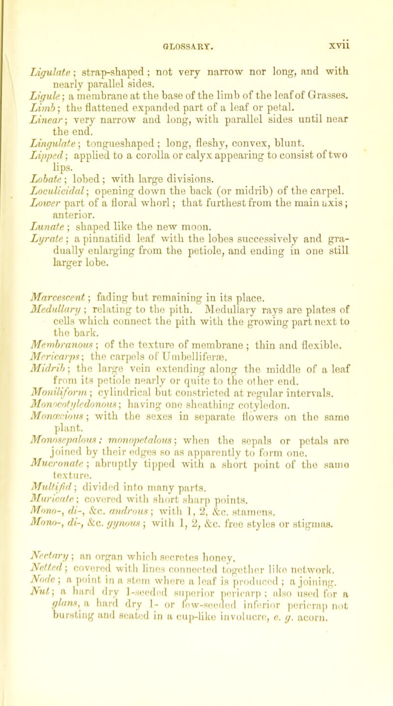 Ligulate; strap-shaped; not very narrow nor long, and with nearly parallel sides. Ligule; a membrane at the base of the limb of the leaf of Grasses. Limb; the flattened expanded part of a leaf or petal. Linear; very narrow and long, with parallel sides until near the end. Lingulnte; tongueshaped ; long, fleshy, convex, blunt. Lipped; appUed to a corolla or calyx appearing to consist of two lips. Lohate.; lobed ; with large divisions. Loculicidal; opening down the back (or midrib) of the carpel. Lower part of a floral whorl; that furthest from the main uxis; anterior. Lunate ; shaped like the new moon. Lyrate; a pinnatifid leaf with the lobes successively and gra- dually enlarging from the petiole, and ending in one still larger lobe. Marce.fir.ent; fading but remaining in its place. 3Ie.dullari/; relating to the pith. Medidlary rays are plates of cells which connect the pith with the growing part next to the bark. Membranous ; of the texture of membrane ; thin and flexible. Mericarps; the carpels of Uinbellif'ene. Midrib; the large vein extending along the middle of a leaf from its piitiole nearly or quite to the other end. Mnniliform ; cylindrical but constricted at regular intervals. Mnnncntiikdonorts] liaving one sh(!athing cotyledon. Mononrioiis ; with the sexes in separate flowers on the sarao plant. MnnoHcpalous; mnnopp/alnus; when the sepals or petals are joined by their edgos so as apjiarently to form (uie. Mucronale ; abi'iiptly tipped with a short point of the samo lexturt!. Mulli/id; divided into ninny parts. Mnricain; covered witli short sharp points. Mono-, di-, &c. androus; with 1, 2, &c. stamens. Mono-, di-, Sec. f/i/noim ; with 1, 2, &c. fnio styles or stigmas. Nerinry; an organ which aocrotos honoy. Netted; covered witii lines connected together like network. Node ; a point in a stiun where a h-a,f is ))roduc('d ; a joining. Nut; a hiird dry ]-seeded sujierior pericnrp ; also us(!(l for a f/lam, ii hard dry I- or Irnv-seeded inferior jiericrap not bursting and aoat<;d in a cup-like involucr(!, e. //. acorn.