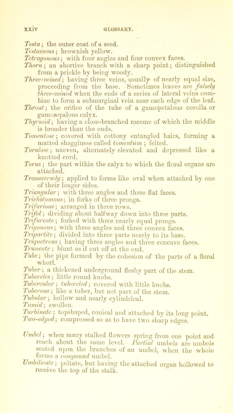 Testa; the outer coat of a seed. Testaceous; brownish yellow. Tetragonous; with four angles and four convex faces. Thorn; an abortive branch with a sharp point; distinguished from a prickle by being' woody. Three-veined; having three veins, usually of nearly equal size, proceeding from the base. Sometimes leaves are falsely three-veined when the ends of a series of lateral veins com- bine to form a submarginal vein near each edge of the leaf. Throat; the orifice of the tube of a gamopetalous corolla or gamcsepalous calyx. Thyreoid; having a close-branched raceme of which the middle is broader than the ends. Tomentose; covered with cottony entangled hairs, forming a matted shagginess called tomentum • felted. Torulose; uneven, alternately elevated and depressed like a knotted cord. Torus ; the part within the calyx to which the floral organs are attached. Transversely; applied to forms lilce oval when attached by one of their longer sides. Triangular; with three angles and three flat faces. Trichdtomous; in forks of three prongs. Trifarious; arranged in three rows. Tnjid; dividing about halfwaj' dowm into three parts. Trifurcate ; forlvcd with three nearly equal prongs. Trigonous; with three angles and three convex faces. Tripartite; divided into three parts nearly to its base. Triquetrous ; having three angles and three concave faces. Truncate ; blunt as if cut off at the end. Tube; the pipe formed by the cohesion of the parts of a floral whorl. Tuber ; a thickened underground fleshy part of the stem. Tubercles ; little round knobs. Tubercular; tubercled; covered with little knobs. Tuberous ; hke a tuber, but not part of the stem. Tubular ; hollow aud nearly cylindrical. Tumid; swollen. Turbinate ; topshaped, conical and attached by its long point, Two-cd(jed; compressed so as to have two sharp edges. Utnbel; when many stalked flowers spring from one point and reach about the same level. Partial umbels are uujbels seated upon the brandies of an umbel, wheu the whole forms a compound umbel. Umbilicute ; peltate, but having the attaclied organ hollowed to receive tbe top of the stalk.