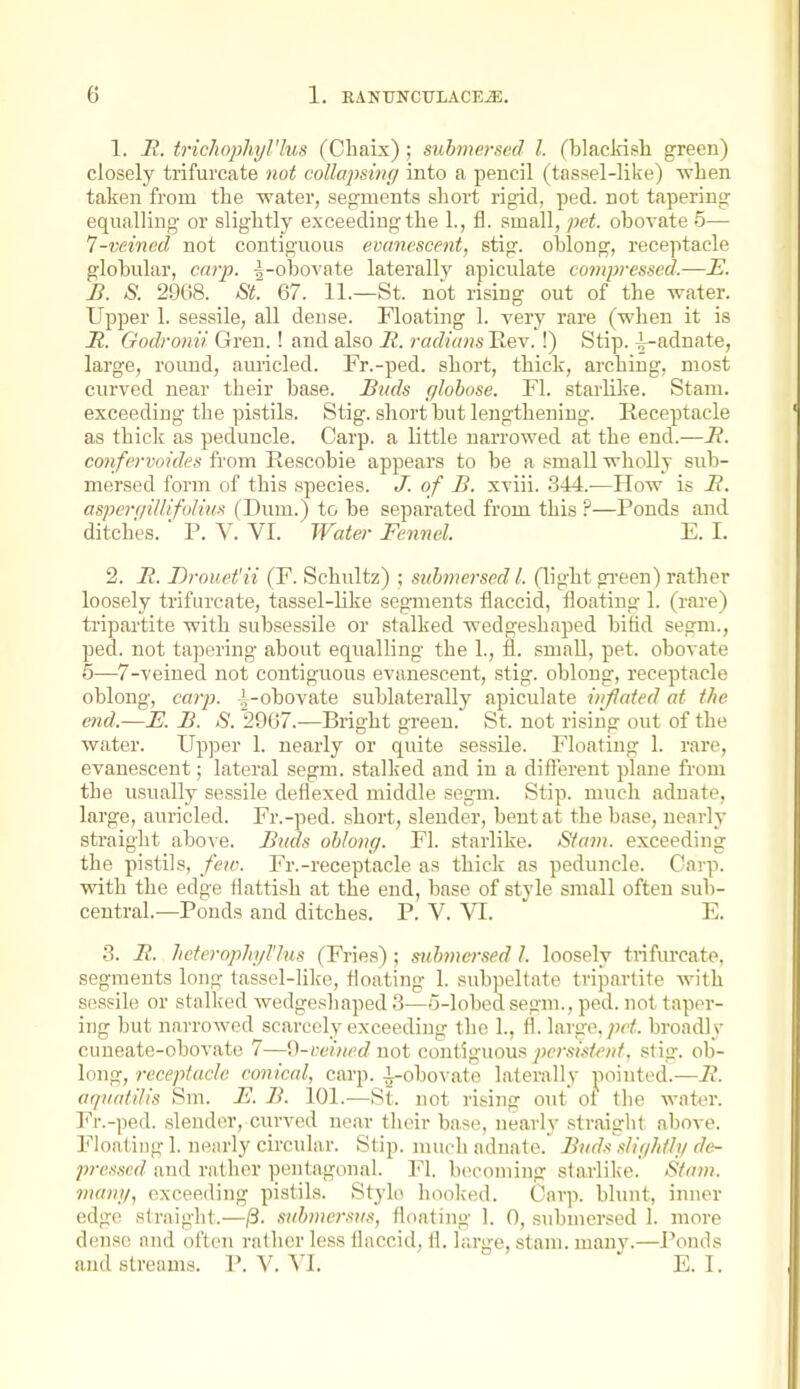 1. R. trichophyl'lus (Chaix); submersed I (blackish green) closely trifurcate not collapsinr/ into a pencil (tassel-like) when taken from the water, segments short rigid, ped. not tapering equalling or slightly exceeding the 1., fl. small, pet. obovate 5— 7-veined not contiguous evanescent, stig. oblong, receptacle globular, caiy. |-obovate laterally apiculate compressed.—E. B. S. 2968. St. 67. 11.—St. not rising out of the water. Upper 1. sessile, all dense. Floating 1. very rare (when it is a. Godronii Gren.! and also R. radumsHer. !) Stip. i-adnate, large, round, amicled. Fr.-ped. short, thick, arching, most curved near their base. Buds r/lobose. Fl. starlike. Stam. exceeding the pistils. Stig. short but lengthening. Receptacle as thick as peduncle. Carp, a little narrowed at the end.—B. confervoides from Rescobie appears to be a small wholly svib- mersed form of this species. J. of B. xviii. 344.—IIow is B. asperqUUfolms (Dum.) to be separated from this ?—Ponds and ditches.  P. V. VI. Water Fennel. E. I. 2. B. Drouet'li (F. Schultz) ; submersed I. (light gi-een) rather loosely trifurcate, tassel-like segments flaccid, floating 1. (rai-e) tripartite with subsessile or stalked wedgeshaped bihd segm., ped. not tapering about equalling the 1., fl. small, pet. obovate 5—7-veined not contiguous evanescent, stig. oblong, receptacle oblong, carp, i-obovate sublaterally apiculate inflated at the end.—E. B. S. 2967.—Bright green. St. not rising out of the water. Upper 1. nearly or quite sessile. Floating 1. rare, evanescent; lateral segm. stalked and in a different plane from the usually sessile deflexed middle segm. Stip. much adnate, large, auricled. Fr.-ped. short, slender, bent at the base, nearly straight abo^e. Buds oblong. Fl. starlike. Stam. exceeding the pistils, feie. Fr.-receptacle as thick as peduncle. Carp, with the edge flatfish at the end, base of style small often sub- central.^—Ponds and ditches. P. V. VI. E. 3. B. Jieteroplij/l'lus (Fries); submcr.ied I. loosely trifurcate, segments long tassel-like, floating 1. subpeltate tripartite with sessile or stalked wedgesliaped 3—o-lobed segm., ped. not taper- ing but narrowed scarcely exceeding the 1., fl. large, broadly ciineate-obovate 7—U-reincd not contiguous persi^teid. stig. ob- long, receptacle conical, carp. ^-obo\-ate laterally ;^iointed.—B. aquatilis Sm. E. B. 101.—St. not rising out ot the water. Fr.-ped. slender, curved near their base, nearly straight above. Floating 1. nearly circular. Stip. much adnate. Buds slif/Iitli/ de- pressed and rather pentagonal. Fl. b(>ooming sfarlike.' Stam. nianji, exceeding pistils. Stylo hooked. Carp, blunt, inner edg(! straight.—/3. svbmersus, floating 1. 0, submersed 1. move dense and often rather less flaccid, fl. large, stam. many.—Ponds and streams. P. V. \l. E. I.