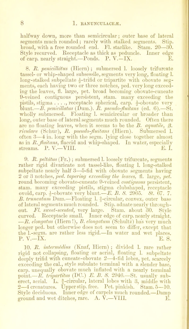 halfway down, more than semicircular; outer base of lateral segments much rounded; rarely with stalked segments. Stip. broad, with a free rounded end. Fl. starhke. Stam. 20—30. Style recurved. Receptacle as thick as peduncle. Inner edge of carp, nearly straight.—Ponds. P. V.—IX. E. 8. a. peniciUdtuis (Plieru) ; submersed 1. loosely trifurcate tassel- or whip-shaped subsessile, segments very long, floating 1. long-staUved subpeltate ^i-trifid or tripartite with obovate seg- ments, each having two or three notches, ped. very long exceed- ing the leaves, fi. large, pet. broad becoming obovate-cuueate 9-veined contiguous persistent, stam. many exceeding the pistils, stigma . . . ., receptacle spherical, carp, ^-obovate very blunt.—B. jJi'iiicillatus (I)um.). R. pseiido-fiuitans (ed. 6).—St. wholly submersed. Floating 1. semicircular or broader than long, outer base of lateral segments much romided. Often there are no floating leaves, when it seems to be the oqitatile, /3. rmilare (Schur), R. pseudo-Jivitans (Iliern). Submersed 1. often 3—4 in. long with the segm. lying close together almost as in R.Jiuitans, flaccid and whip-shaped. In water, especially streams. P. V.—VIII. E. 1. 9. R. peltdtus (Fr.) ; submersed 1. loosely trifurcate, segments rather rigid divaricate not tassel-hke, floating 1. long-stallied subpeltate nearly haK 3—5-fld with obovate segments ha^^ng 2 or o notches, ped. tapcrim/ exceeding/ the leaves, fl. large, pet. round becoming obovate-cuueate 9-veined contiguous persistent, stam. many exceeding pistils, stigma clnbshaped, receptacle ovoid, cai}). -i-obovate very bhuit.—E. B. S. 29(35. St. 67. 7. B. truncatum Dum.—Floating 1. |-circular, convex, outer base of lateral segments much rounded. Sti}3. adnate nearly through- out. Fl. siveet-sceiited, very large. Stam. about 30. Styli^ curved. Receptacle small. Inner edge of carp, nearly straight. —R. elonr/atus (Iliern !), B. eloiif/atum (Scludtz) has very much longer ped. but otberwise does not seem to diilor, except that the l.-seirm. are rather less rigid.—In water and wet places. P. v.—ix. E. s. 10. R. hitermedins (Knaf, Iliern) ; divided 1. rare rather rigid not collapsing, floating or aerial, floating 1. subpeltate deeply trifid with cunoato-obovate 2—4-fld lobes, pet. scarcely exceeding the cal, style subulate terminal witli a slender base, carp, unequally obovate much inflated with a nearlv terminal point.—7i'. tripartitus (DC.) E. B. S. 2i)46.—St. usually sub- erect, aerial. L. f-circidar, lateral lobes with 3, middle with 2—4crenatures. Upper stip. free. Pet. pinkish. Stam. 5—10. Style deciduous. Inuer edge of carpels nuudi rounded.—Damp ground and wet ditches, rare. A. V.—VIII. E.