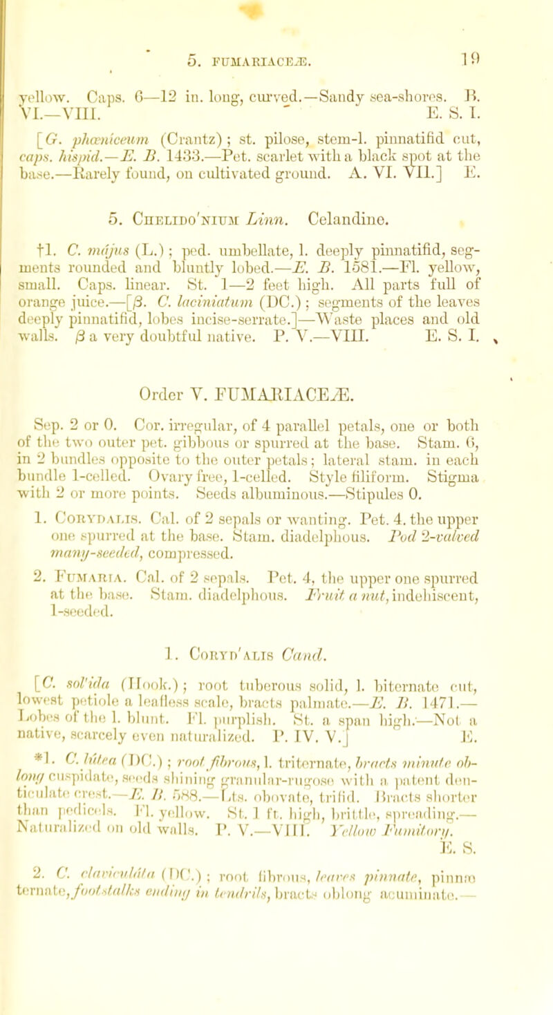 oIIdw. Caps. G—12 in. long, ciu'ved.—Sandy sea-shorr-s. B. /I.—VIII. ' E. S. I. [G. phoeniceum (Crantz) ; st. pilose, stem-1. pinnatifid cut, caps, hispid.—I^. B. 1433.—Pot. scarlet with a black spot at the base.—Rarely found, ou cultivated ground. A, VI. VII.] E. 5. CnELiDo'NnjM Linn. Celandine. , fl. C. mdjus (L.); ped. umbellate, 1. deeply pinnatifid, seg- ments rounded and bluntly lobed.—E. B. 1581.—Fl. yellow, small. Gaps, linear. St. 1—2 feet higb. All parts full of orange juice.—[/3. C. laciniatum (DC.) ; segments of the leaves di'eply pinnatifid, lobes incise-serrate.]—Waste places and old walL^' 13 a very doubtful native. P. V.—VIII. E. S. I. Order Y. FUMARIACEyE. Sep. 2 or 0. Cor. irregular, of 4 parallel petals, one or both of tlie two outer pet. gibbous or spurred at the base. Stam. 0, in 2 biuidle.s oppo.site to the outer petals; lateral stam. in each bundle 1-celled. Ovary free, 1-celled. Style filiform. Stigma with 2 or more points. Seeds albuminous.—Stipules 0. 1. CoRVDAMS. Cal. of 2 sepals or wanting. Pet. 4. the upper one spurred at the base. Stam. diadelplious. I'od 2-vaivcd many-seeded, compressed. 2. FuMARiA. Cal. of 2 sepnls. Pot. 4, the upper one spurred at the ba.se. Stam. diadelphous. i^ytt*;; ft WM<,indBhiscent, l-soeded. 1. Coryd'ALTS Cand. [C. soVida (Hook.); root tuberous solid, 1. biteriiato cut, lowest petiole a leafless scale, bracts palmate.—i^. B. 1471.- Tiobes of the 1. blunt. Fl. purplisli. St. a .span high.—Not a native, scarcely oven natimilized. P. IV. V.J K. *1. ChUi-n (DC.) ; rnolfd)yoiis,\. triternate, hriirts ■minute oh- /w//cuspidate, .seeds sinning granular-rugosi^ with a ])a,tent den- ticulate crest.—7?. B. GrtS.—Lts. obovnte, trilid. Bracts shorter than pedicels. V\. yc^llow. St. 1 ft. high, Ijril tie, sprending.- Naturah/ed ,,n old walls. I'. V.—VIII. Yellow Fnntit.oni. i<;. S. 2. C. rItinriihUn (]){].) root fibrous,/w^v-.s' pinvfife, pinn.'o h'.vnntii,foi)tdalk.i eiidiiKj in temlrih, bracts „blong acuniinalo.—