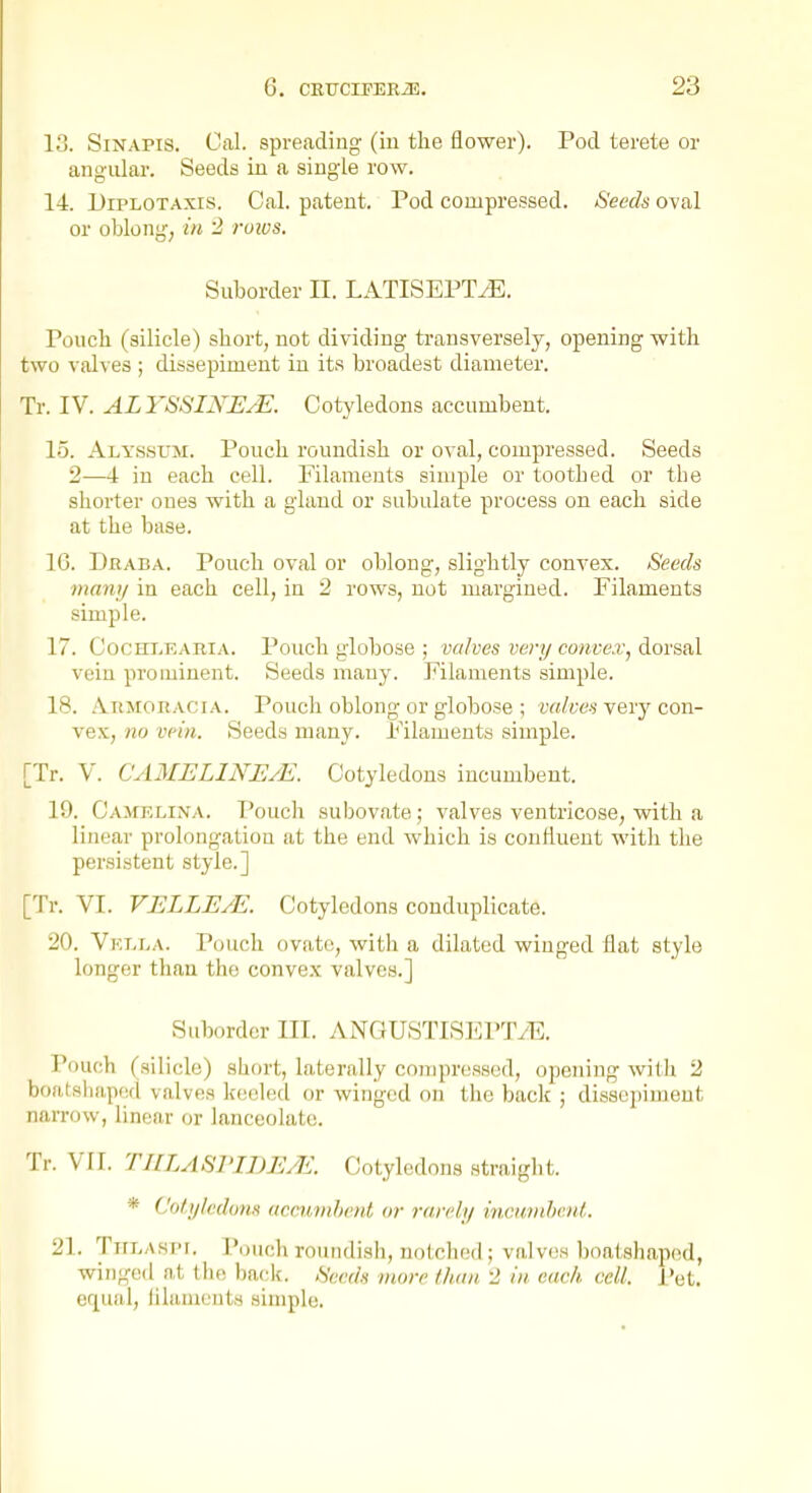 13. SiNAPis. Cal. sprecidiug (in the flower). Pod terete or angular. Seeds in a single row. 14. DiPLOTAxis. Cal. patent. Pod compressed. Seeds oval or oblong; in '2 ruivs. Suborder II. LATISEPTiE. Pouch (silicle) short, not dividing transversely, opening with two valves ; dissepiment in its broadest diameter. Tr. IV. ALYSSINEjE. Cotyledons accumbent. 15. Alyssum. Pouch roundish or oval, compressed. Seeds 2—4 in each cell. Filaments simple or toothed or the shorter ones with a gland or subulate process on each side at the base. 10. Draba. Pouch oval or oblong, slightly convex. Seeds many in each cell, in 2 rows, not margined. Filaments simple. 17. CocHT^EARiA. Pouch globose ; valves very convex, dorsal vein prominent. Seeds many. Filaments simple. 18. AuMORACiA. Pouch oblong or globose ; valves very con- vex, no vein. Seeds many. Filaments simple. [Tr. V. CAMELINE/E. Cotyledons incumbent. 19. Camklina. I'ouch subovate; valves ventricose, with a linear prolongation at the end which is coniiueut with the persistent style.] [Tr. VI. VELLEJE. Cotyledons conduplicate. 20. Vklla. P(juch ovat(!, with a dilated winged flat style longer than the convex valves.] Suborder III. ANGUSTISEPTyE. Pouch (silicle) short, laterally compressed, opening with 2 bofttsliapc([ valves keeled or winged on the back ; dissepiment narrow, linear or lanceolate. Tr. VIr. TULASPIDE/E. Cotyledons straight. * (Mylcdons aceumhent or rarely incuvihent. 21. TTn.Asi'F. Pouch roundisli, notcliod ; valv(!H 1)oatshaped, winged a,t tlu; back. Seeds more than 2 in each cell. i'et. equal, lilameuts simple.