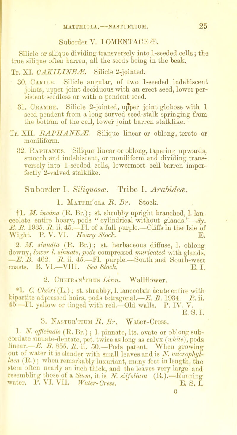 Suborder V. LOMENTACEyE. Silicle or silique dividing transversely into 1-seeded cells; the true silique often barren, all the seeds being in the beak. Tr. XI. CAKILINEyE. Silicle 2-jointed. 30. Cakile. Silicle angular, of two 1-seeded indehiscent joints, upper joint deciduous with an erect seed, lower per- sistent seedless or with a pendent seed. 31. Crambe. Silicle 2-jointed, upper joint globose with 1 seed pendent from a long curved seed-stalk springing from the bottom of the cell, lower joint barren staMike. Tr. XII. EAPIIANEJE. Silique linear or oblong, terete or monihform. 32. Raphanus. Silique linear or oblong, tapering upwards, smooth and indehiscent, or moniliform and dividing trans- versely into 1-seeded cells, lowennost cell barren imper- fectly 2-valved stalklike. Suborder I. Siliquosce. Tribe I. Arabidece. 1. Matthi'ola R. Br. Stock. tl. M. incdna (R. Br.) ; st. shrubby upright branched, 1. lan- ceolate entire hoary, pods  cylindrical without glands.—Sy. E. B. 1935. It. ii. 45.—Fl. of a full piu'plc—Cliils in the Isle of Wight. 1'. V. VI. Hoary iStock. E. 2. M. dnudta (R. Br.) ; st. herbaceous diffuse, 1. oblong downy, loiver I. sinuate, pods compressed inuricaled with glands. —E. B. 402. Ii. ii. 45.— Fl. purple.—South and South-west coasts. B. VI.—VJII. »S'ea Htoch. E. I. 2. Cheiran'thus Linn,. WaMower. *1. C. Cheiri (L.); st. shrubby, 1. lanceolate acute entire with bipartite adpresaed hairs, pods tetragonal.—E. B. 1934. 11. ii. 45.-11. yellow or tinged with red.—Old walls. P. IV. V. E. S. I. 3. Na.sxur'txum R. Br. Watcr-Crcss. 1. N. officinale (R. Br.) ; 1. pinnate, Its. ovate or oblong sub- cordate siruiate-dcutate, pet. twice as long as calyx {while), pods linear.—^'. B. H55. Ii. ii. 50.—I'ods patent. VVlion growing out of water it is .slender with small leaves and is N. microphyl- liim (il.); when rcmarkaljly luxuriant, many fo(!t in length, the stem often nearly an inoli t'liick, and tlie leaves vtny large and re.-icmbling tlioso of a Sinm, it is N. siifoliwn (R.).—Running water, R. VI. VII. WaUr-Cress. E.S.I. 0