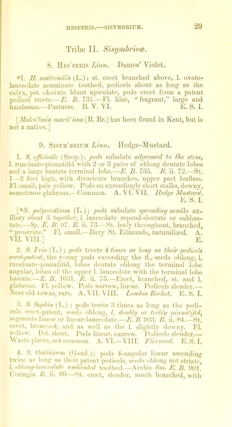 Tribe II. Sisymbriece. 8. Hes'peris Linn. Dames' Violet. *1. JI. matronal is (L.); st. erect bi'anched above, 1. ovate- lanceolate acuminate toothed, pedicels .about as long as the calyx, pet. obovate blunt apiculate, pods erect from a patent pedicel terete.—E. B. 731.—Fl. hlac, fragrant, large and handsome.—Pastures. B. V. VI. E. S. I. [Malco'lmia mant'ima (E,. Br.) has been found in Kent, but is not a native.] 9. Sistm'brium Linn. Hedge-Mustard. 1. <S'. officinale (Scop.); pods subulate adpressed to the stem, 1. runcinate-pinnatiiid with 2 or 3 pairs of oblong dentate lobes and a large hastate terminal lobe.—JE. B. 735. B. ii. 72.—St. 1—2 feet high, with divaricate branches, upper part leafless. Fl. small, pale yellow. Pods on exceedingly short stalks, downy, sometimes glabrous.—Common. A. VI. VII. Hedye Mustard. E. S. I. [*<S'. pohjcerdtium (L.); pods subulate spreading sessile ax- illary aliont ■') iniicther, 1. lanceolate repand-deutate or subhas- tatt!.—.S//. B. B. !)7. B. ii. 73.—St. leaCy throughout, branched,  prostrate. Fl. small.—Bury St. Edmunds, naturalized. A. VII. VIII.] E. 2. >S'. Trio (L.) ; pods terete; 4 times as Ion;/ as their pedicels erevt-patent, the young pods exceeding the 11., seeds oblong, 1, runcinate-jjinnatilid, lobes dentate oblong the terminal lobo angular, lobes of the upper 1. lanceolate with the terminal lobe hastate.—E. B. B. ii. 75.—hlrect, branched, st. and 1. glabrous. Fl. yellow. Pods narrow, linear. Pedicels slender.—■ IS'ear old towns, rare. A. VII. VIII. London Bucket. E. S. I. 3. B. Sophia (L.) ; pods terete 3 times as long as tiu! pedi- cels ereft-patomt, siuhIs ol)loiig, I. doiihly or Irehhi pinnntijid, Sfgments linear or linear-lanceolate.—ii'.'/A D(>3. B. ii. 84.—St. ei-cct, br.inciied, and as well as the 1. slightly downy. Fl. ydlow. Pet. short. I'ods linear, narrow. l'(>dicels slender.— Waste plac«a, not common. A. VI.—VIII. Fli.nived. E. S. I. 4. S. thalidnnm (fraud.); pods 4-anguhir linear ascendino- twice as long as their pat(^nt pedicels, seeds oblong not striatif, /. ohtonfi-lanreolale tmdicided toothed.—Arabis ,S';«. E. B. i)Ol. Coringia B. ii. 00.—St. erect, slender, much branched, with