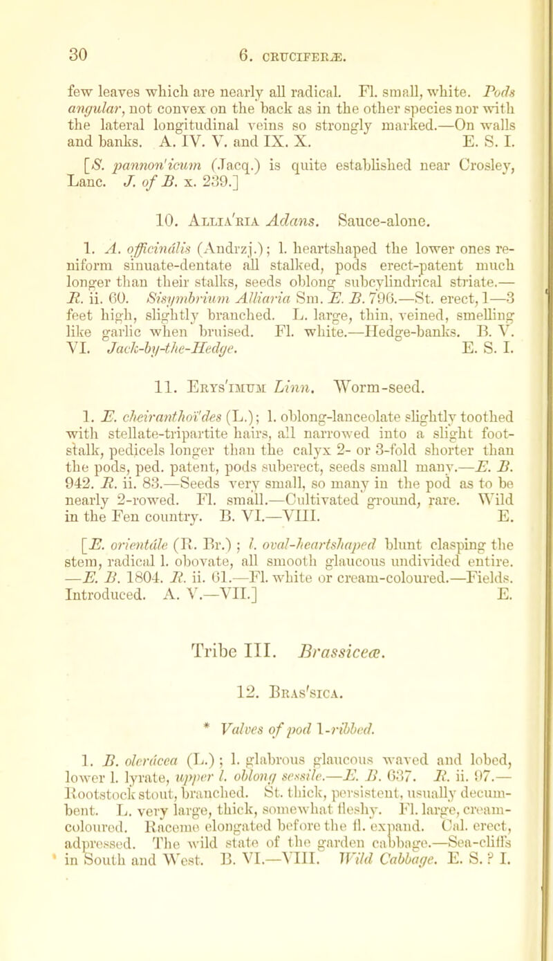 few leayes whicli are nearly all radical. Fl. small, white. Poch migular, not convex on the back as in the other species nor with the lateral longitudinal veins so strongly marked.—On walls and banks. A. IV. V. and IX. X. E. S. I. \_S. 2^annon'imm (.Tacq.) is quite established near Crosley, Lane, j; o/J9. X. 239.] 10. Allia'eia Aclans. Sauce-alone, 1. A. officinalis (Andrzi.); 1. heartshaped the lower ones re- niform sinuate-dentate all stalked, pods erect-patent much longer than their stalks, seeds oblong subcylindrical sti-iate.— It. ii. 60. Sisymbrium. Alliaria Sm. E. B. 796.—St. erect, 1—3 feet high, slightly branched. L. large, thin, veined, smelling like garlic when bruised. Fl. white.—Hedge-banks. B. V. VI. Jack-hy-the-Hedye. E. S. I. 11. Erys'imum Linn. Worm-seed. 1. E. cheiranf Jtoi'des{'L.); 1. oblong-lanceolate slightly toothed with stellate-tripartite hairs, all narrowed into a slight foot- stalk, pedicels longer than the calyx 2- or 3-fold shorter than the pods, ped. patent, pods suberect, seeds small many.—E. B. 942. R. ii. 83.—Seeds very small, so many in the pod as to be nearly 2-rowed. Fl. small.—Cultivated ground, rare. Wild in the Fen country. B. VI.—VIII. E. \_E. orientdle (I>. Br.) ; I. ovaJ-hcartshaped blunt clasping the stem, radical 1. obovate, all smooth glaucous undivided entire. —E. B. 1804. R. ii. 01.—Fl. white or cream-coloured.—Field.*. Introduced. A. V.—VII.] E. Tribe III. Brassicece. 12. Br.vs'.sica. * Valves of pod \-ribhtid. 1. B. olcrdcca (L.) ; 1. glabrous glaucous waved and lobed, lower 1. lyrate, upper I. ohlony sessile.—E. B. 037. R. ii. 97.— Bootstock stout, branched. St. thick, persistent, usually decum- bent. L. very large, thick, somewhat fh>shv. Fl. large, cream- coloured. Raceme elongated before the 11. exjiand. Oal. erect, adprossed. Tim wild state of th(> garden cabbaire.—Sea-cliils • in South and West. B. VI.—VIII. Wild Cabbage. E. S. ? 1.