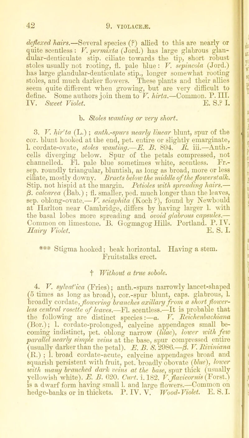 dcflexecl Jiairs.—Several species (?) allied to this are nearly or quite scentless i F. 2>er)m:via (Jord.) has large glabrous glan- dular-denticulate stip. ciliate towards the tip, short robust stoles usually not rooting, fl. pale blue: V. sepincola (Jord.) has large glandular-denticulate stip., longer somewhat rooting stoles, and much darker flowers. These plants and their allies seem quite dift'erent when growing, but are very difficult to define. Some authors join them to V. hirta.—Common. P. 111. IV. S'weet Violet. E. S.? I. b. Stoles tvanting or very short. 3. V. Mr'ta (L.) ; anth.-spiirs nearly linear blunt, spur of the cor. blunt hooked at the end, pet. entire or slightly emarginate, 1. cordate-ovate, stoles wanting.—E. B. 894. It. iii.—Auth.- cells diverging below. Spur of the petals compressed, not channelled. M. pale blue sometimes white, scentless. Fr.- sep. roundly triangular, bluutish, as long as broad, more or less ciliate, mostly downy. Bracts helotv the middle of the fioiversfaJk. Stip. not hispid at the margin. Petioles with spreading hairs.— /3. calcarea (Bal).) ; fl. smaller, ped. much longer than the leaves, Sep. oblong-ovate.— V. sciaphita (Koch ?), found by Newbould at Plarlton near Cambridge, diflers by having larger 1. with the basal lobes more spreading and ovoid glabrous capsules.— Common on limestone. B. Gogmagog Hills. Portland. P. IV. Hairy Violet. E. S. 1. *** iStigma hooked; beak horizontal. Ha'S'ing a stem. Frmtstalks erect. t Without a true sobole. 4. V. syhaf'ica (Fries); auth.-spui's narrowly lancet-shaped (5 times as long as broad), cor.-spiu- blunt, caps, glabrous, 1. broadly coviatc, Jiowering branches axillary from a short Jlou-er- less central rosette of leaves.—Fl. scentless.—It is probable that the following are distinct species:—a. V. Reichenbachiana (]3or.); 1. cordate-prolonged, calyciue appendages small be- coming indistinct, pet. oblong narrow (lilac), lower with fciu parallel nearly simple veins at the base, spur compressed entire (usually darlcer tlian the petal). JE. B. S. 2986.—/8. V. Riviniana (11.) ; i. broad cordate-acute, calycine appendages broad and squarisli persistent witli fruit, pet. broadly obovate (blue), lower ivith many branched dark veins at the base, spur tliick (usually yellowisl/wliile). R B. CdO. Curt. i. 182. V.Jiavicornis(VoYst) is a dwarf form having small 1. and large flowers.—Common on hedge-banks or in thickets. P. IV. V. Wood-Violet. E.S.I.