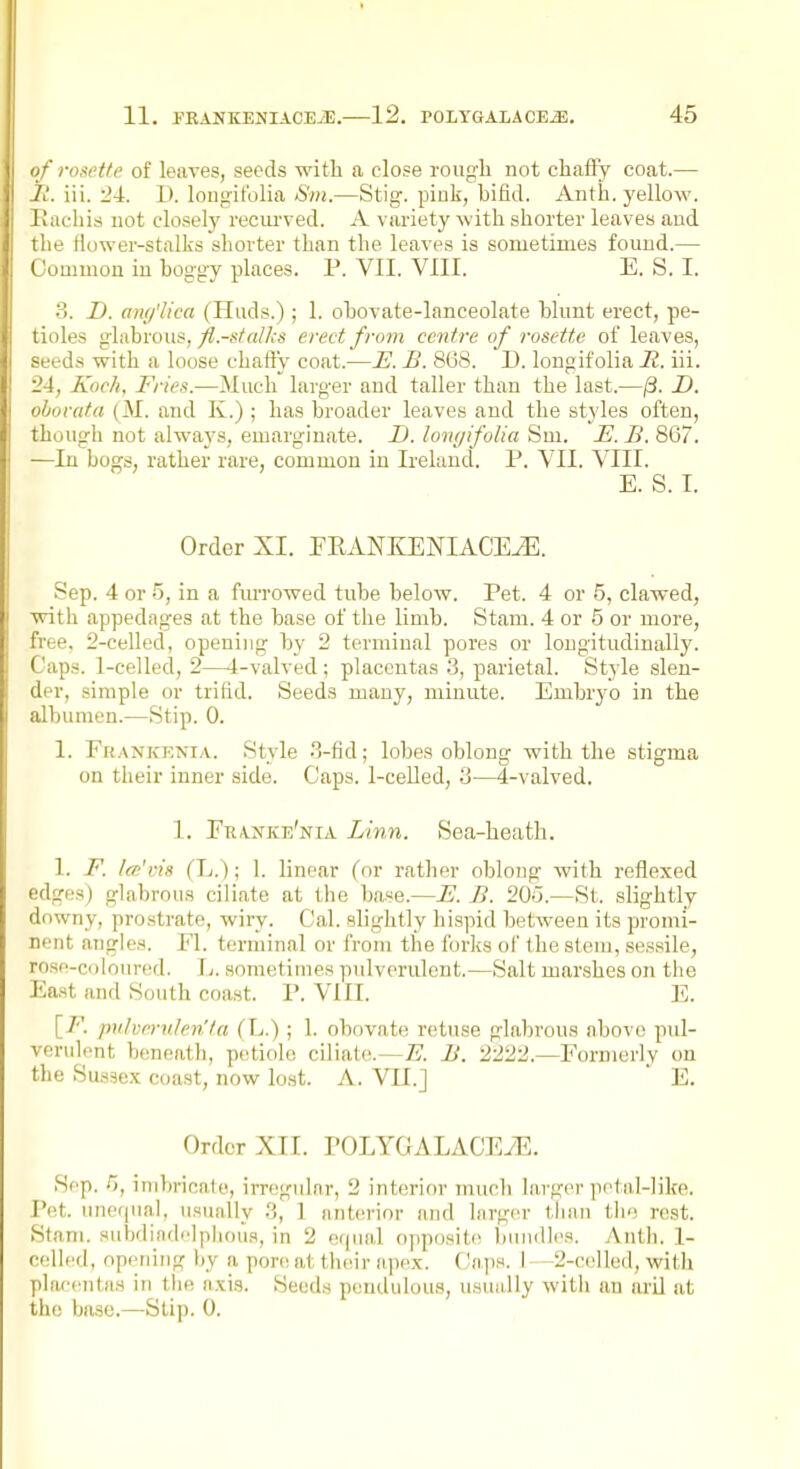 of rosetfe of leaves, seeds with a close rough not chaffy coat.— it. iii. 24. D. lougitblia Sm.—Stig. piuk, bifid. Anth. yellow. Iiachis not closely recurved. A variety with shorter leaves and the Hower-stalks shorter than the leaves is sometimes found.— Common in boggy places. P. VII. VIII. E. S. I. 3. D. any'Uca (Huds.) ; 1. obovate-lanceolate blunt erect, pe- tioles glabrous, 7?.-,s/a//i-s erect from centre of rosette of leaves, seeds with a loose chaffy coat.—E. B. 868. D. longifolia R. iii. 24, Koch, Fries.—Much larger and taller than the last.—^. D. obovata (M. and K.); has broader leaves and the styles often, though not alwaj's, emarginate. D. lomjifolia Sm. E. B. 867. —In bogs, rather rare, common in Ireland. P. VII. VIII. E. S. I. Order XI. PEANKENIACE.^. Sep. 4 or 5, in a furrowed tube below. Pet. 4 or 5, clawed, with appednges at the base of the limb. Stam. 4 or 5 or more, free, 2-celled, opening by 2 terminal pores or longitudinally. Caps. I-celled, 2—4-valved; placentas 3, parietal. Style slen- der, simple or trifid. Seeds many, minute. Embrj^o in the albumen.—Stip. 0. 1. Fhankenia. Style 3-fid; lobes oblong with the stigma on their inner side. Caps. I-ceUed, '<j—4-valved. 1. Fuanke'nia Linn. Sea-heath. 1. F. Ice'vis (L.); 1. linear (or rather oblong with reflexed edges) glabrous ciliate at the base.—E. B. 200.—St. slightly downy, prostrate, wiry. Cal. slightly hispid betAveen its promi- nent angles. Fl. terminal or from the forks of the stem, ses.sile, rose-coloured. \i. sometimes pulverulent.—Salt marshes on the East and South coast. V. VIII. E. [F. pulverulen'ta (h.); 1. obovate retuse glabrous above pul- verulont beneath, petiole ciliate.—7?. B. 2222.—Formerly on the Sussex coast, now lost. A. VII.J E. Order XIT. POLYGALACEyE. Sep. /j, imbricate, irregular, 2 interior much larger petal-like. Pet. unequal, usually .3, 1 anterior and larger tlian tli's rest. Stam. suhdindelphoufl, in 2 equal opposite bundles. Anth. 1- celled, opening by a pore at th(!ir apex. Caps. I - -2-coUed, with placentas in the axis. Seeds pendulous, usually with an aril at the base.—Stip. 0.