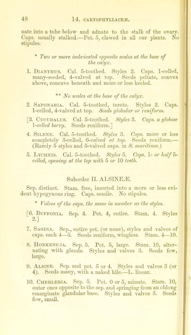 Date into a tiite below aud adnate to the stalk of the ovary. Caps, usually stalked.—Pet. 5, clawed in all our plants. No stipules. * Two or more imbricated opposite scales at the base of the calyx. 1. DiANTHUs. Cal. 6-toothed. Styles 2. Caps. 1-celled, many-seeded, 4-valved at top. Seeds peltate, convex above, concave beneath and more or less keeled, ** No scales at the hose of the cahjx. 2. Saponaria. Cal. 5-toothed, terete. Styles 2. Caps. 1-celled, 4-valved at top. Seeds globular or reniform. [3. CucuBALus. Cal. 5-toothed. Styles 3. Caps, a globose 1-celled berry. Seeds reniform.] 4. SiLENE. Cal. 5-toothed. Styles 3. Caj^s. more or less completely S-ceHed, Q-valved at top. Seeds reniform.— (Karely 5 styles and 5-valved caps, in S. maritima.) 5. Lychnis. Cal. 5-toothed. Styles 5. Caps. \-or half b- celled, opening at the top with 5 or 10 teeth. Suborder n. ALSINE^. Sep. distinct. Stam. free, inserted into a more or less evi- dent hypogynous ring. Caps, sessile. No stipules. * Valves of the ca2)s. the same in number as the styles. [6. BuppoNiA. Sep. 4. Pet. 4, entire. Stam. 4. Stales 2.] 7. Sagdja. Sep., entire pet. (or none), styles and valves of caps, each 4—5. Seeds reniform, wingless. Stam. 4—10. 8. HoNXENE JA. Sep. 5. Pet. 5, large. Stam. 10, alter- nating with glands. Styles and valves 3. Seeds few, large. 9. Alsine. Sep. and pet. 5 or 4. Styles and valves 3 (or 4). Seeds many, with a naked hUe.—L. linear. 10. Cherlehia. Sep. 5. Pet. 0 or 5, minute. Stam. 10, outer ones opposite to the sep. and .springing from an oblong emarginate glandular base. Styles and valves 3. Seeds few, small.